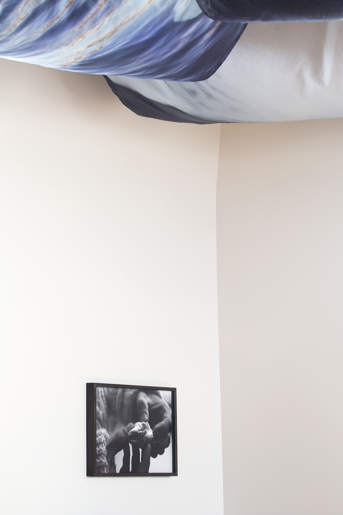 Photo : Caroline Bolieu, 2025. Courtoisie du Centre d'art de Kamouraska