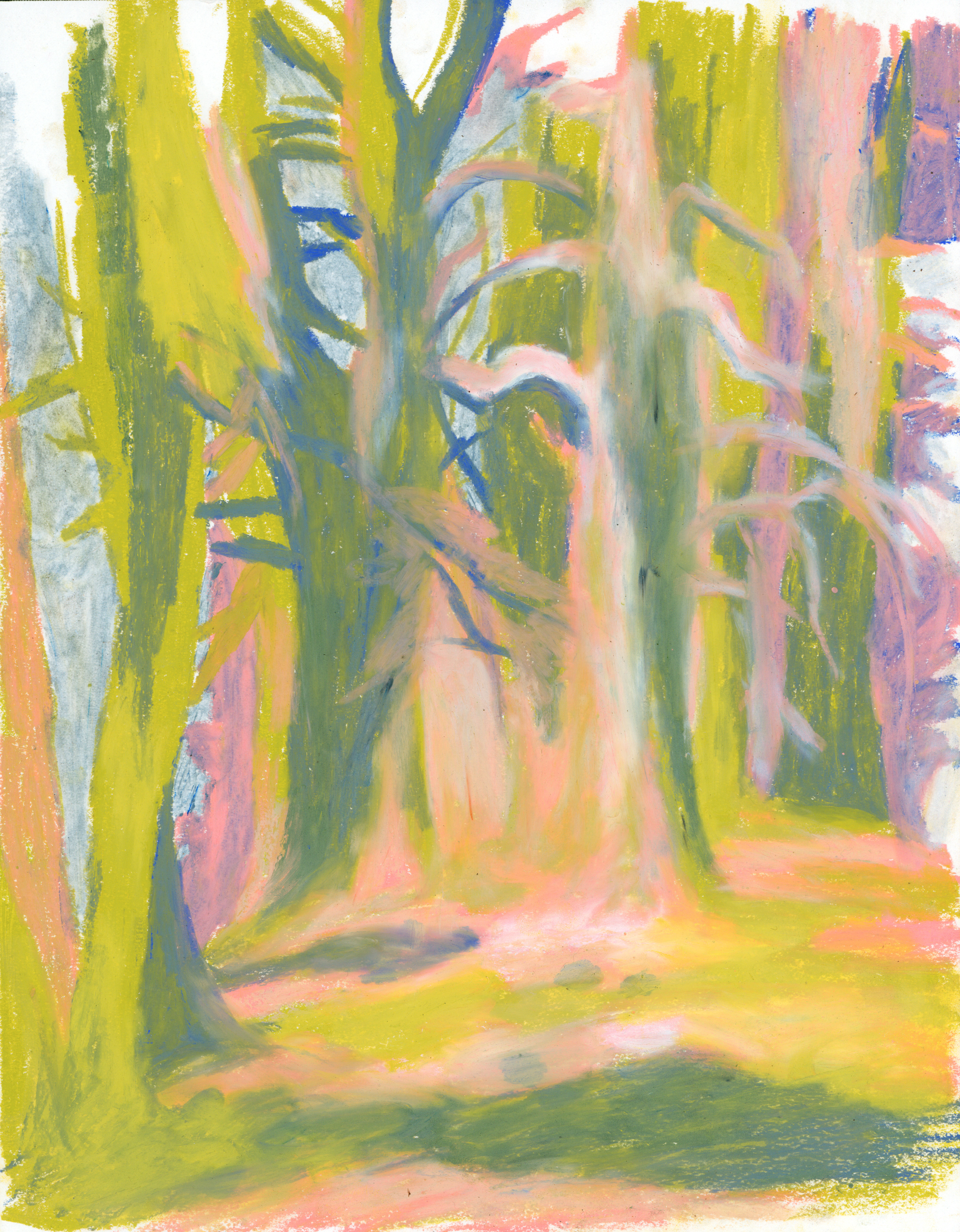 Pines at Blue Ridge, oil pastel on paper, 2021
