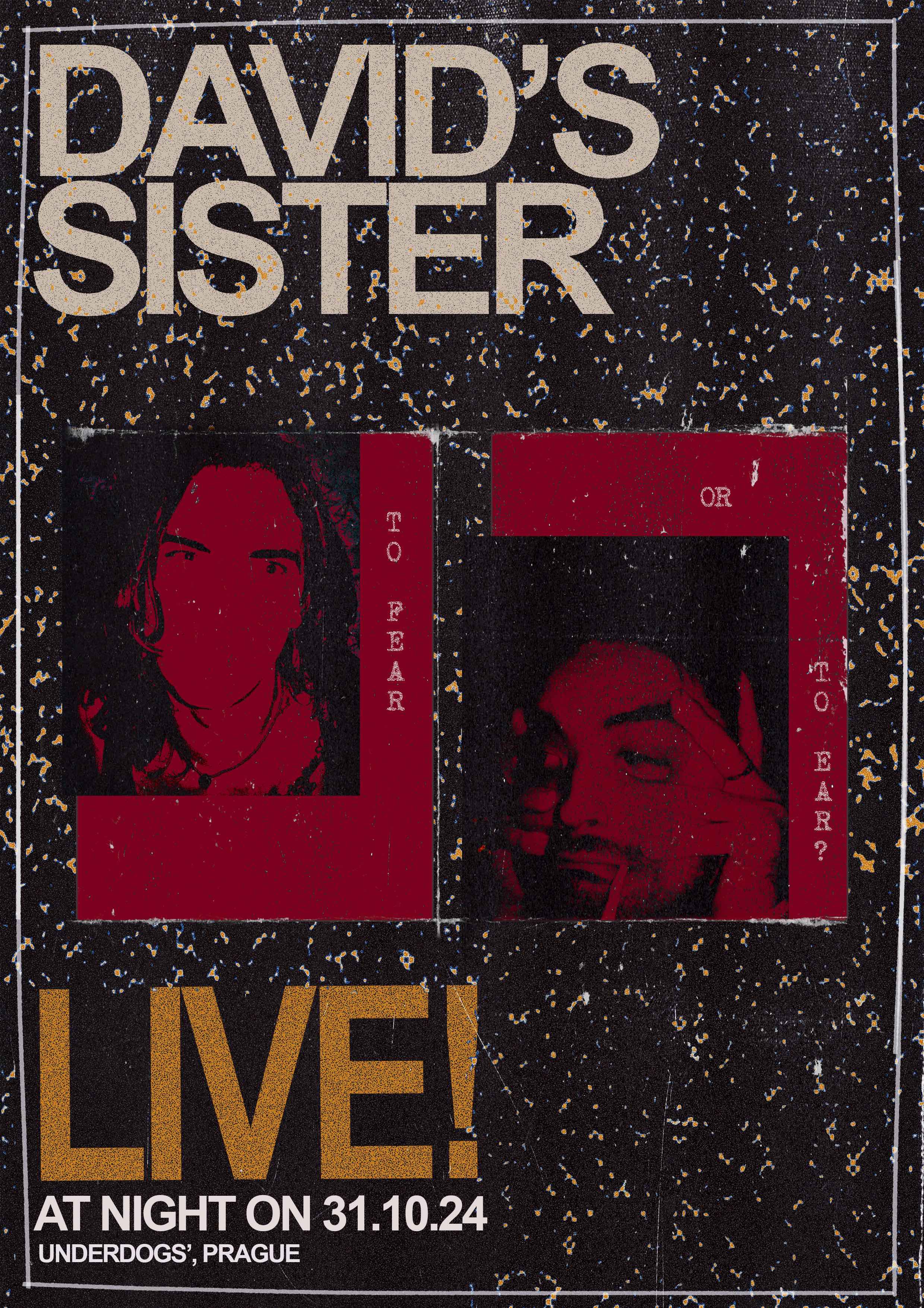 David's Sister band poster
