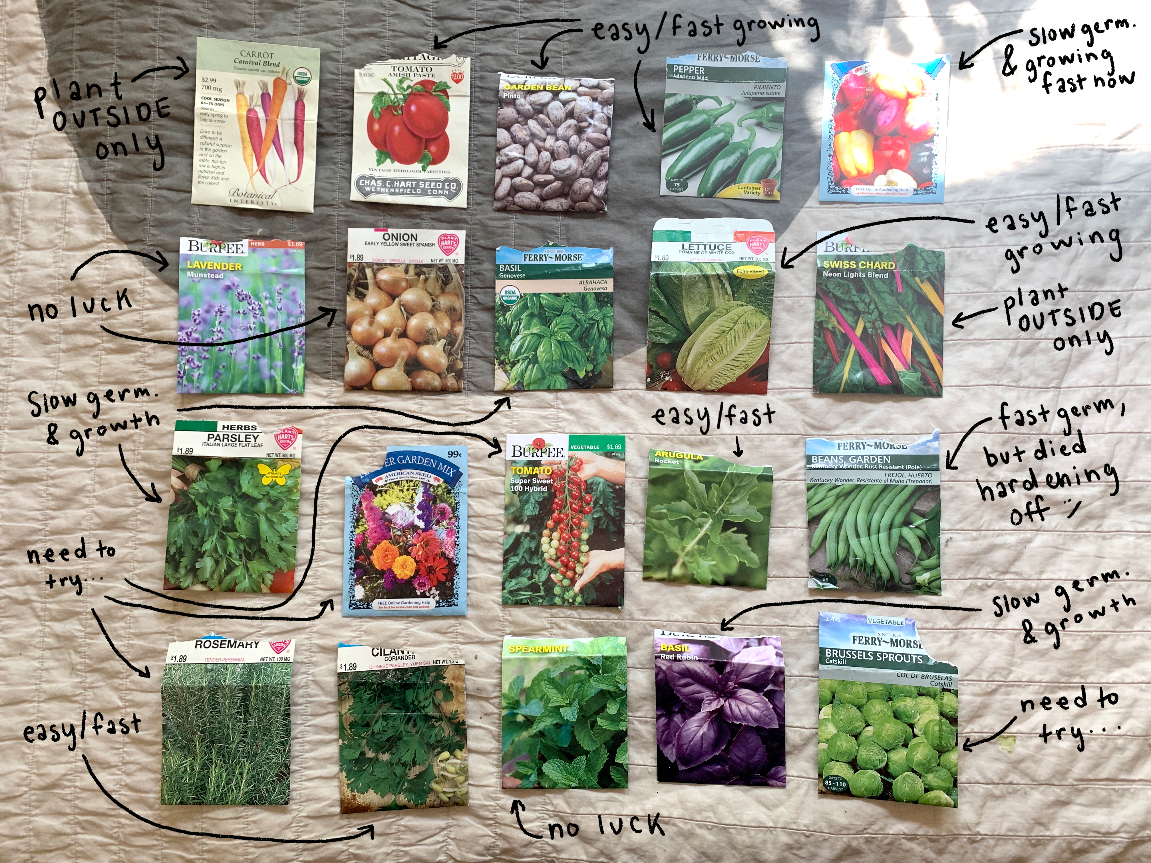 Germ.=germination rate