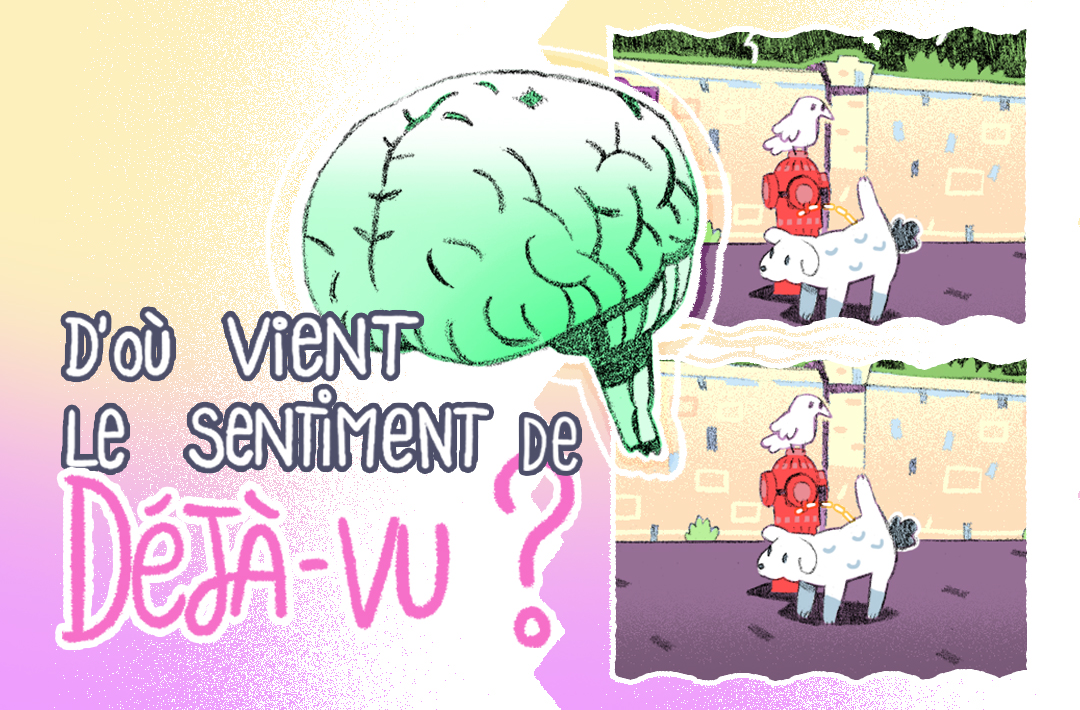 CURIEUX.LIVE : LE DEJA-VU