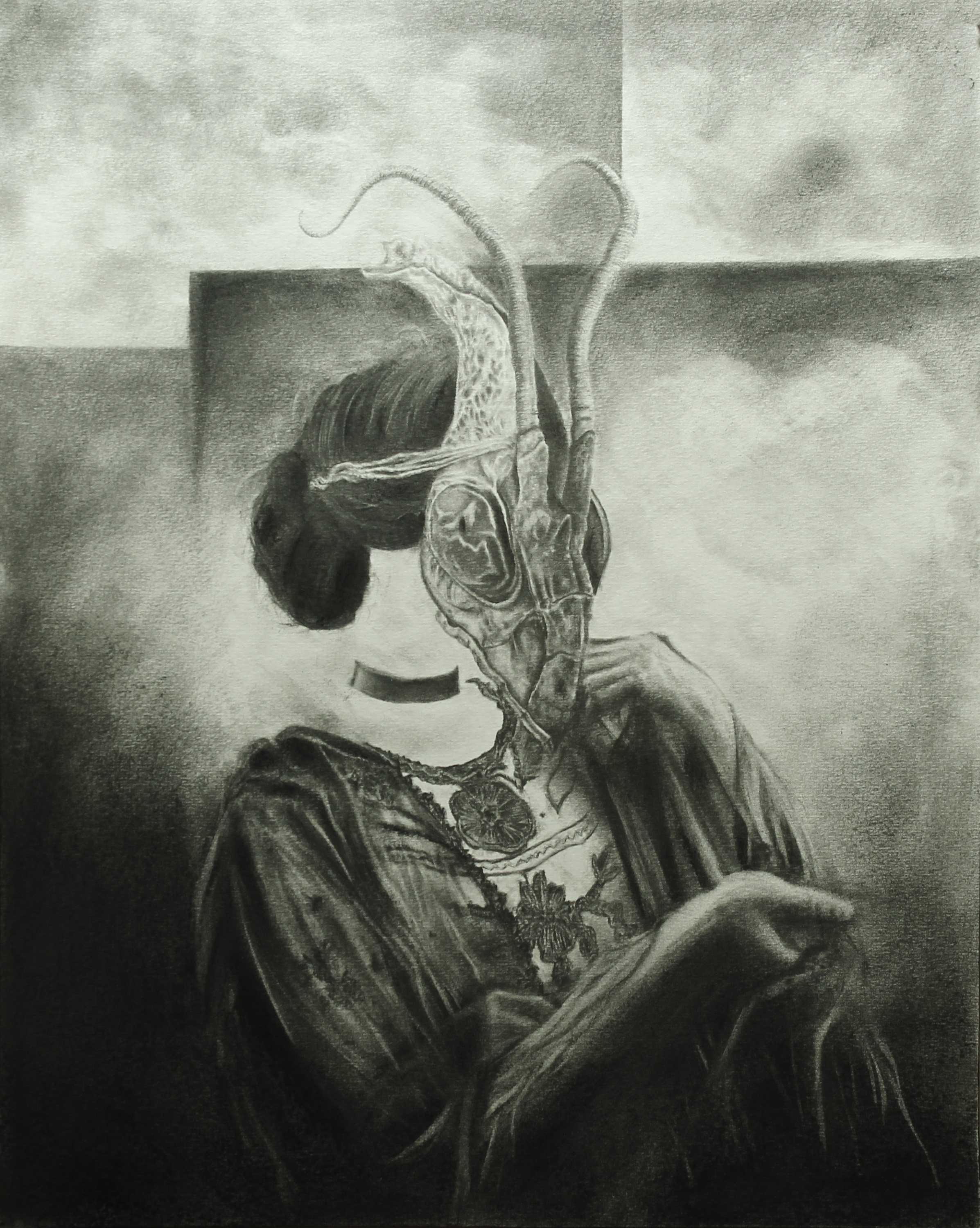 Specimen VIII. Graphite and Charcoal on archival paper, 51cm x 41cm, 2017