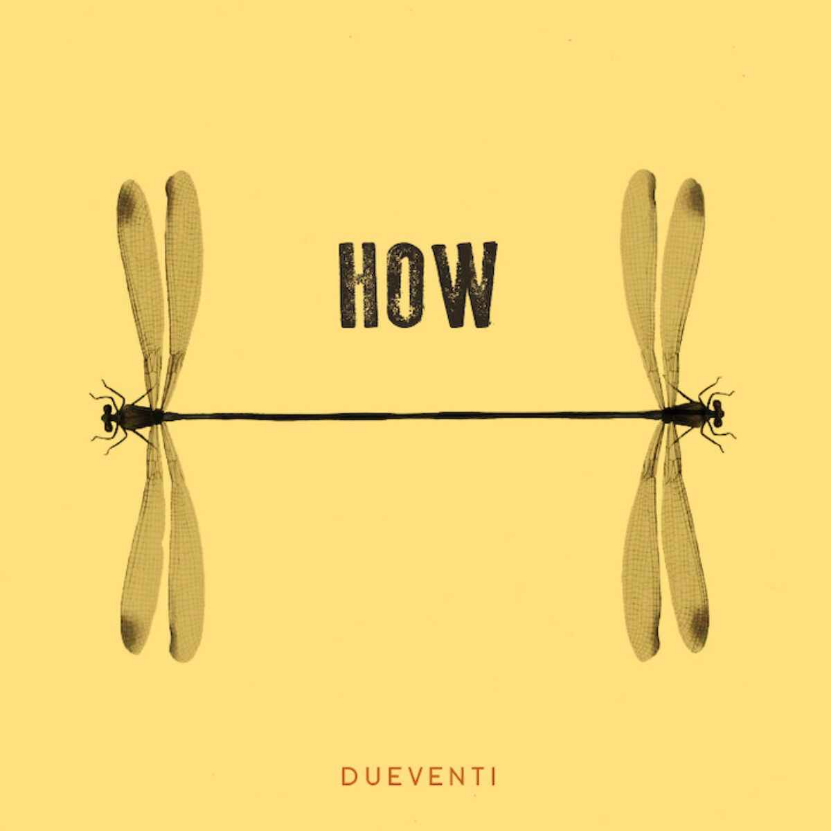 2020 | Dueventi - How (r+m)