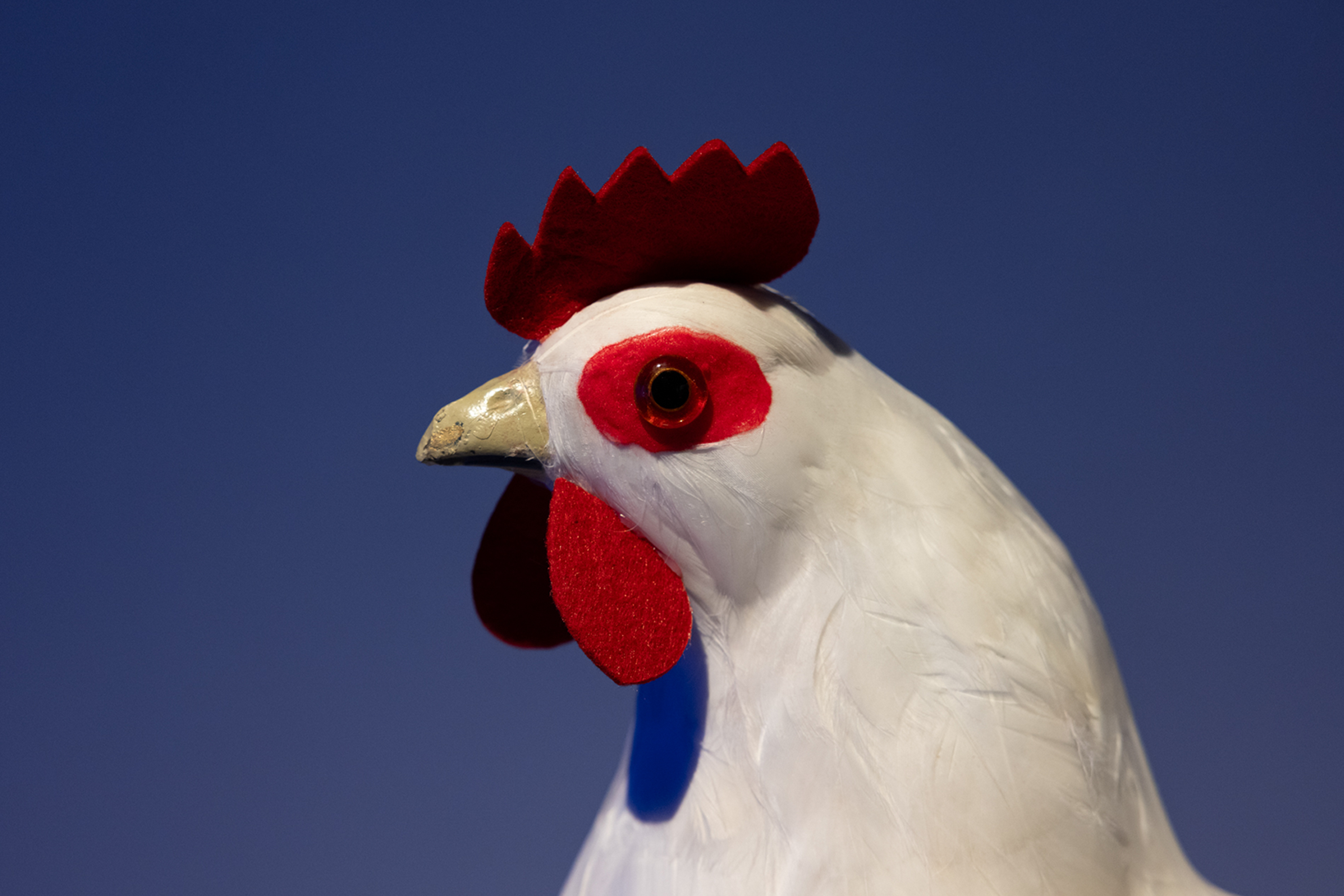 Which Came First? (2023)