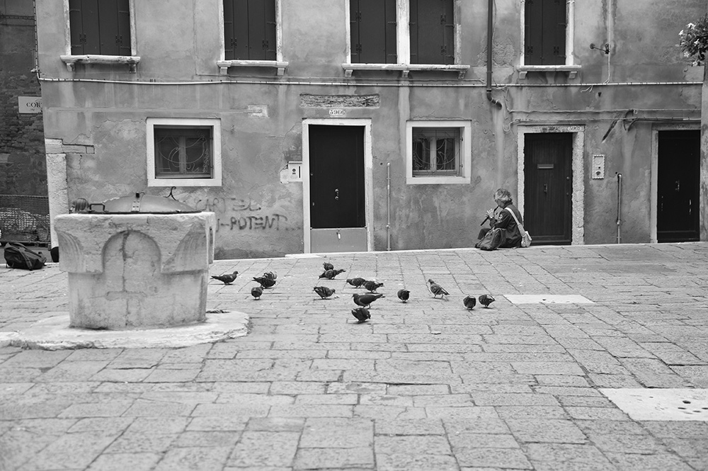 Venice BUY THIS PRINT