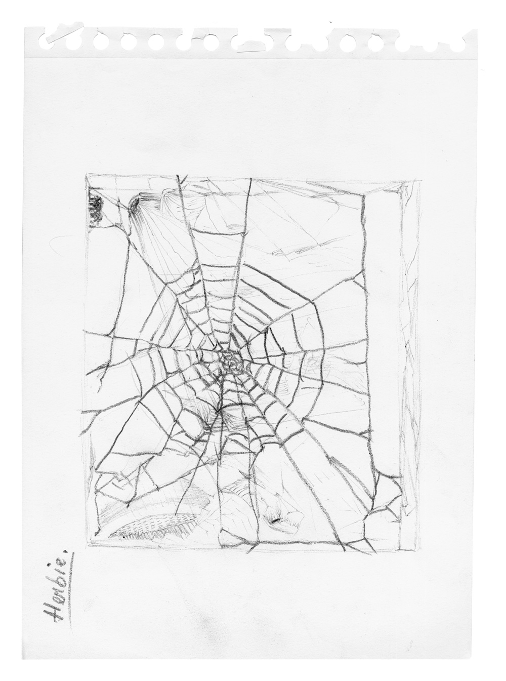 Saskia Janssen – Blaka Watra Spiders