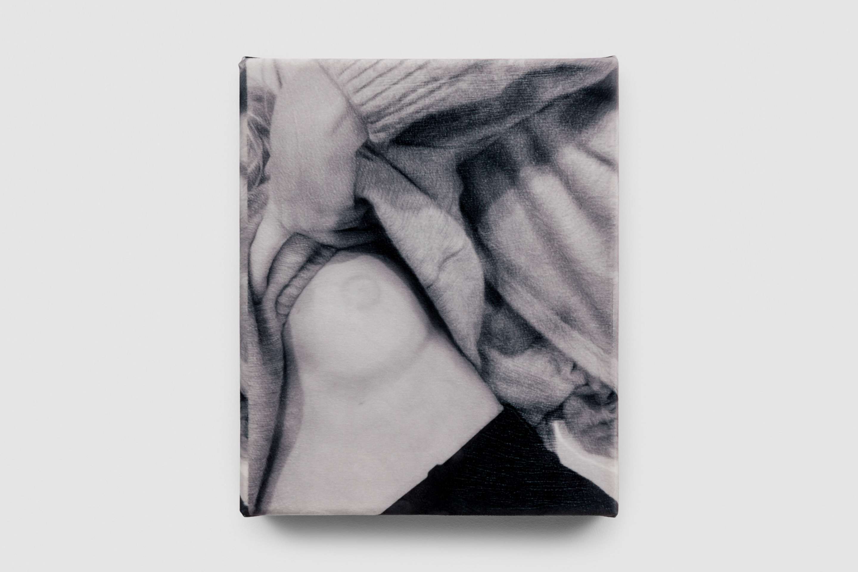 Freudian Slip, 2023, C-type print on soft velvet 280gsm, 24cm x 30cm, Unique 