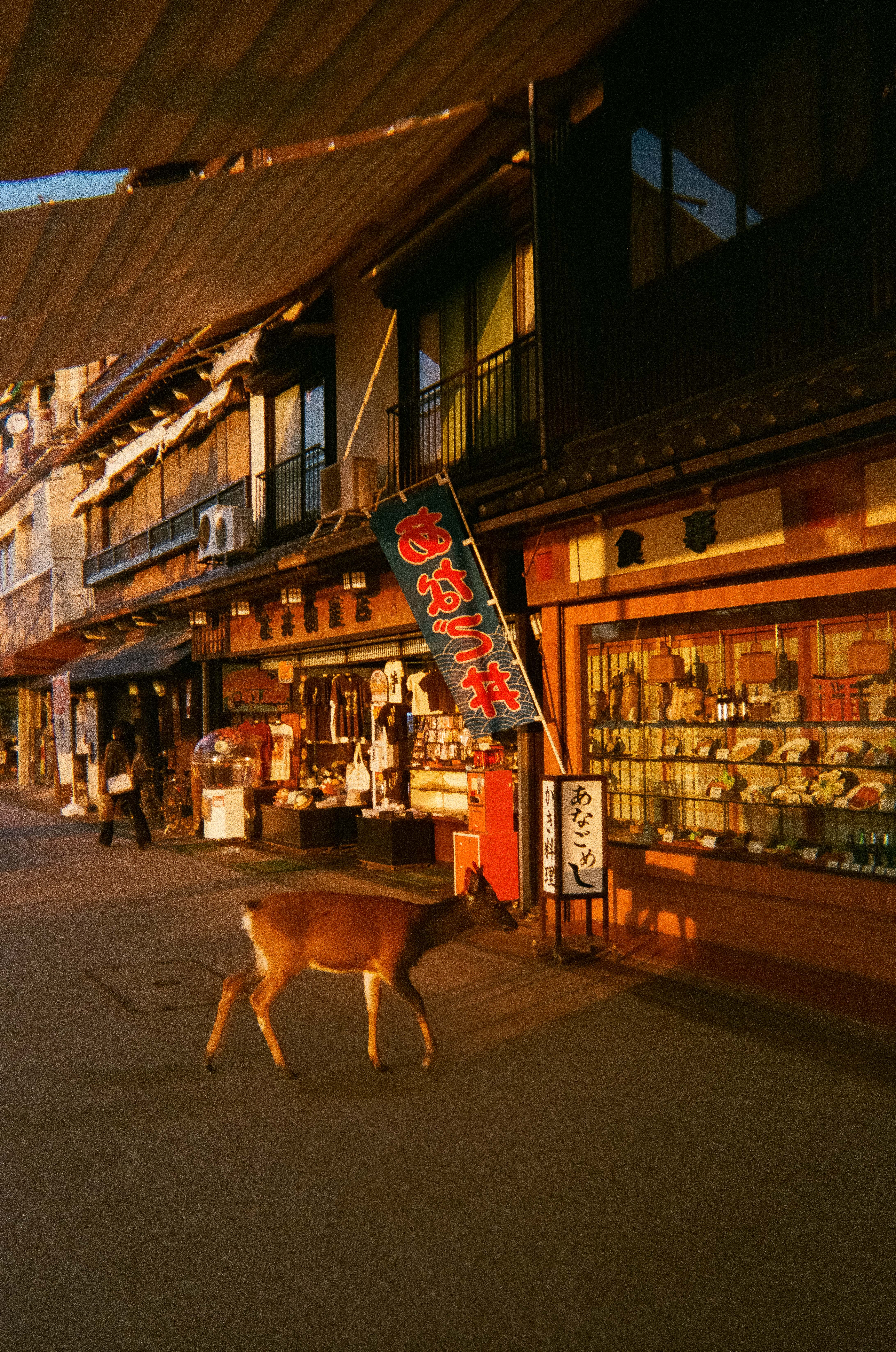 Miyajima, Japon