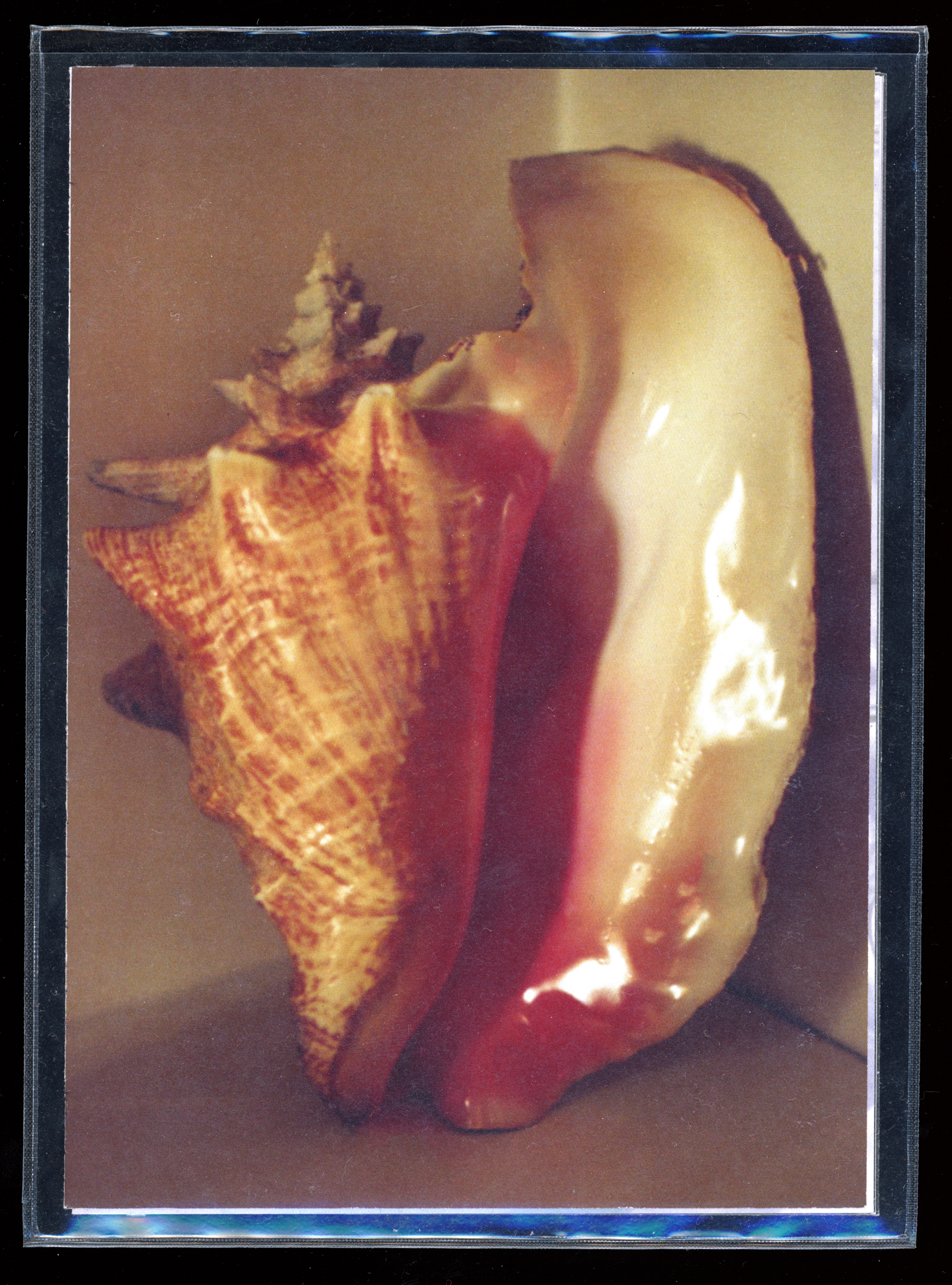 "Pensées III, Thoughts", photographic zine 2022