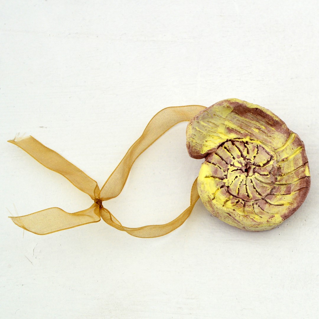 nautilus shell