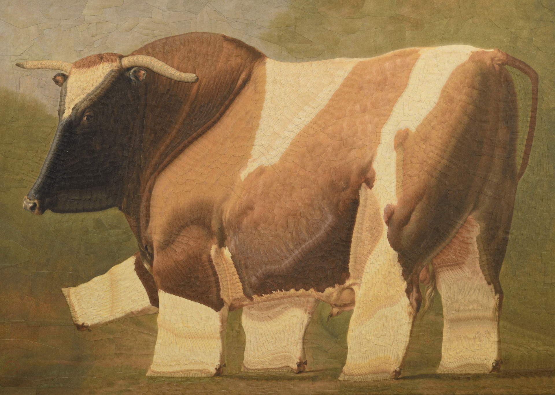 Bull after Brascassat, 2023, 16.5 x 11.6 inches