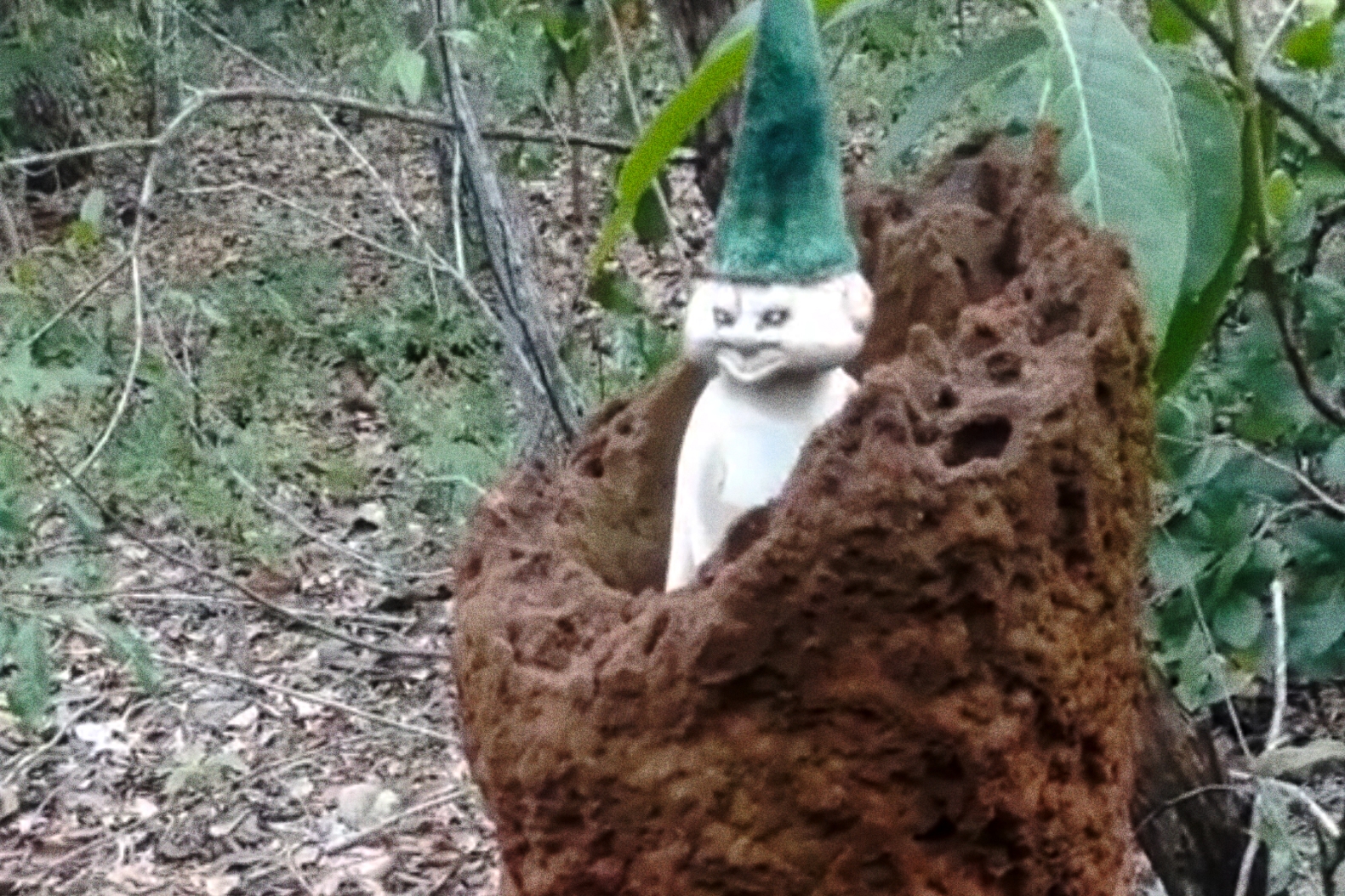 'this is you as a baby'