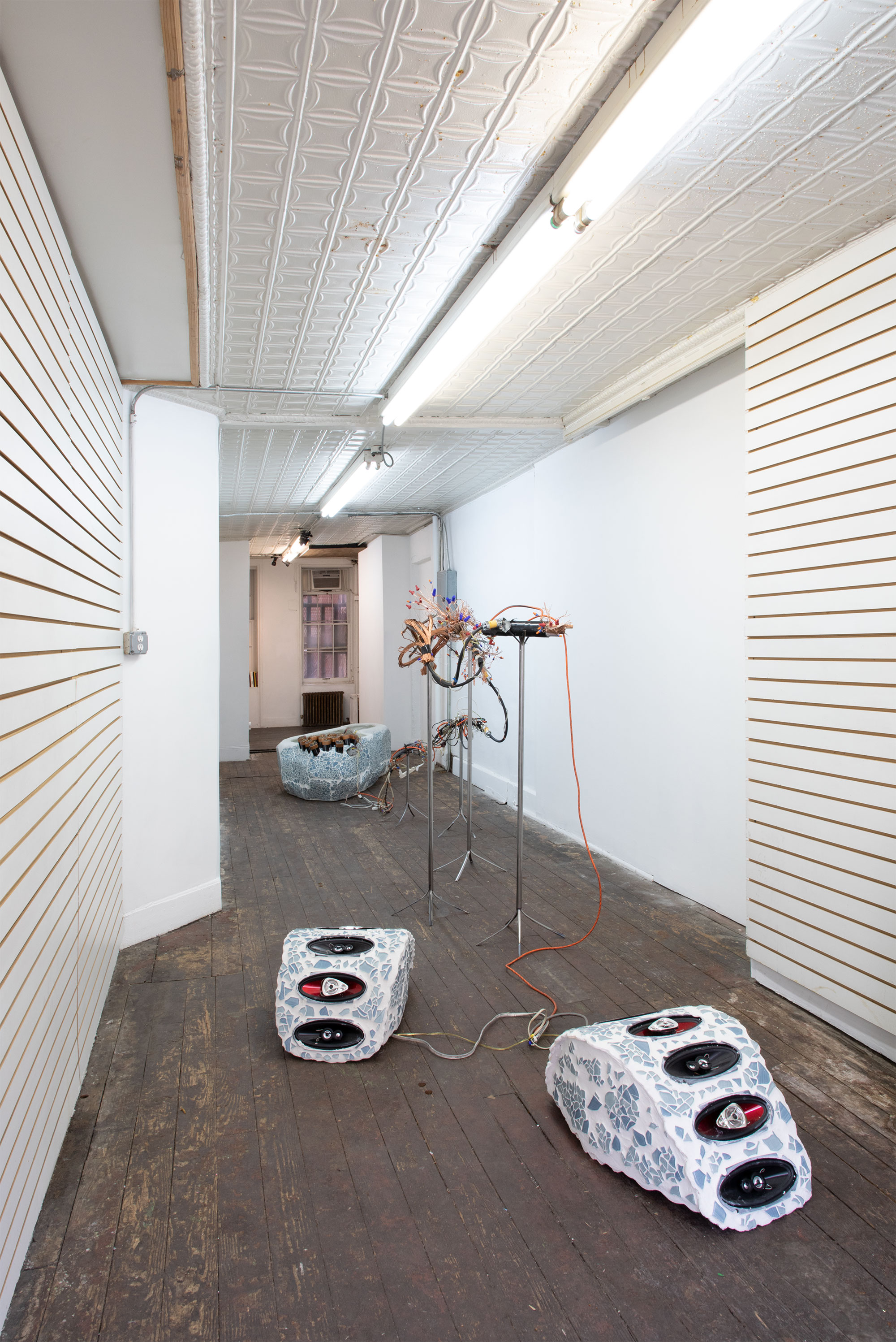 ...a Placebo, an Embryo, a Mosquito, my Libido - 2020New Release, New York, NY 