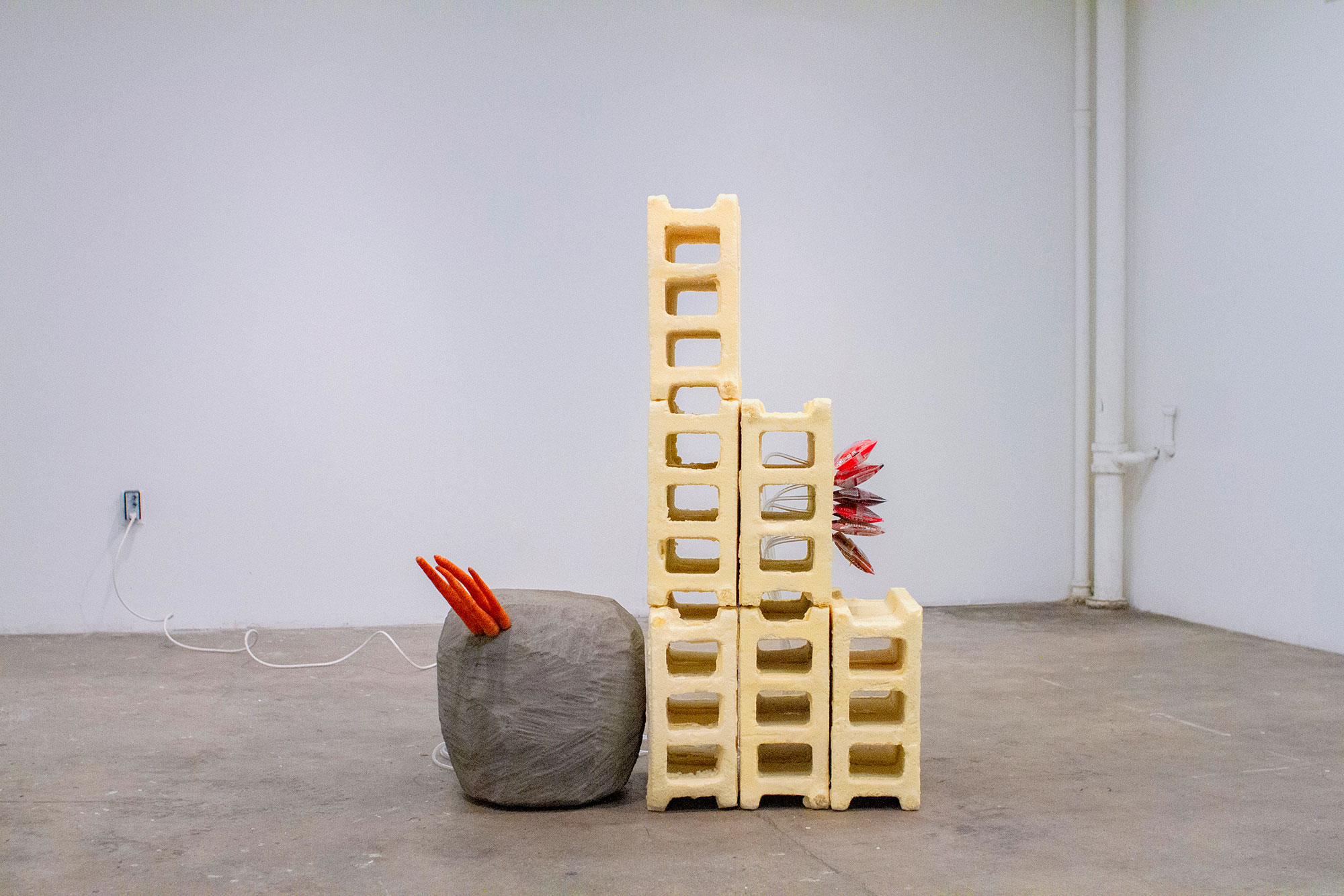 I Like New York and New York Likes Me - 2019