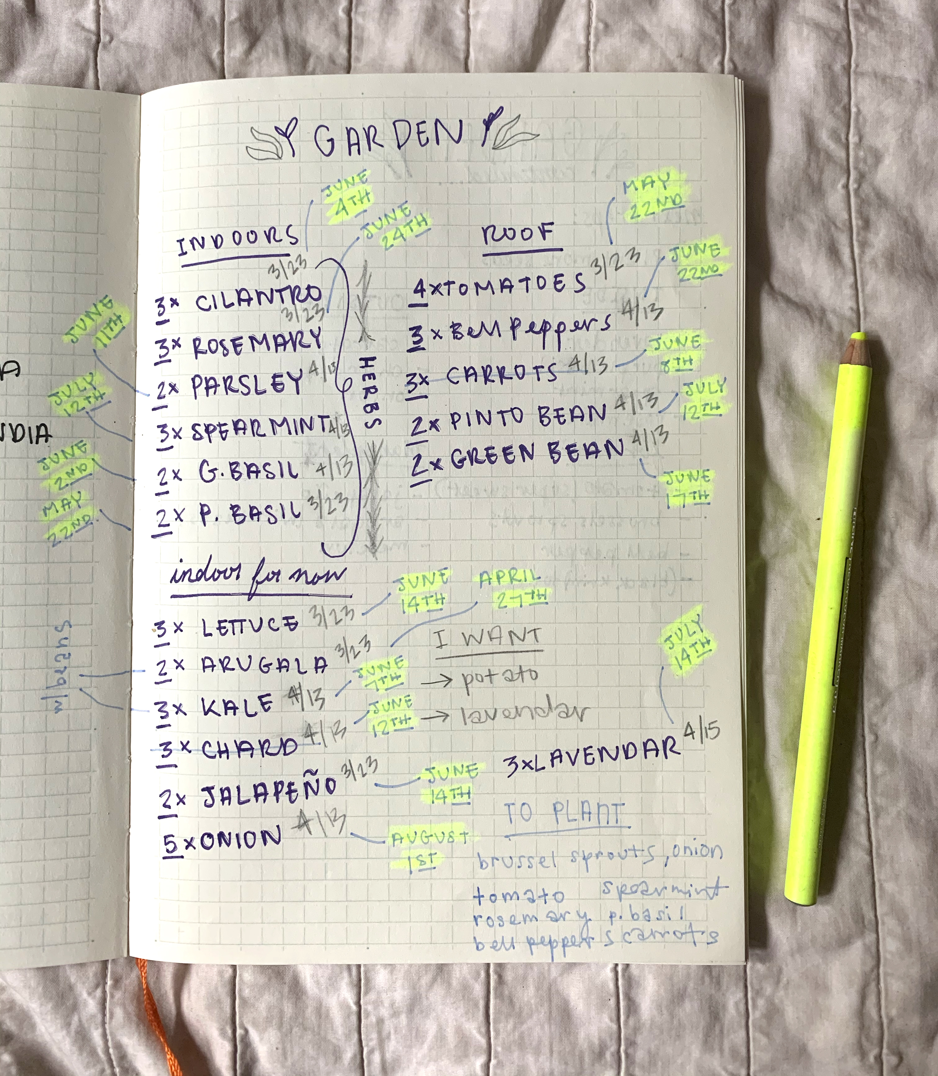 Roughly planning out the garden.