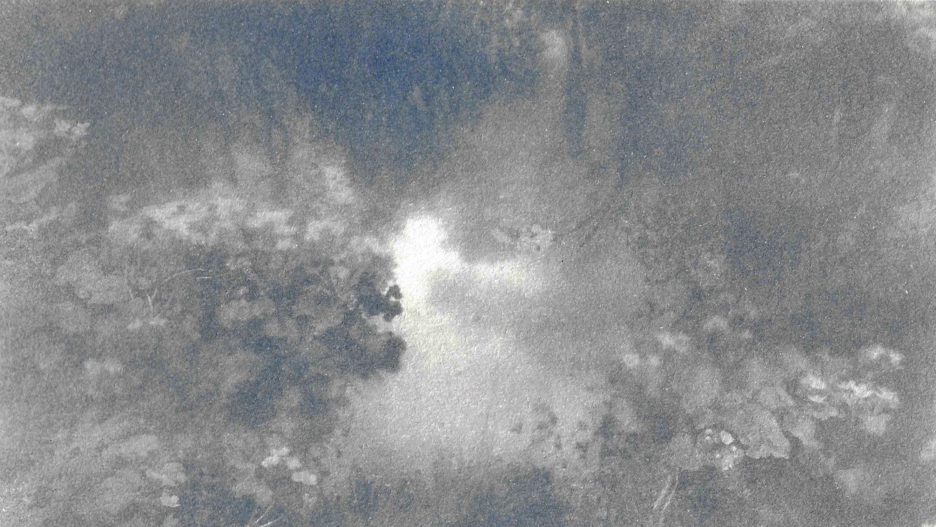 Cyanotype print on paper, 12,5x18,5, 1/1, 2023