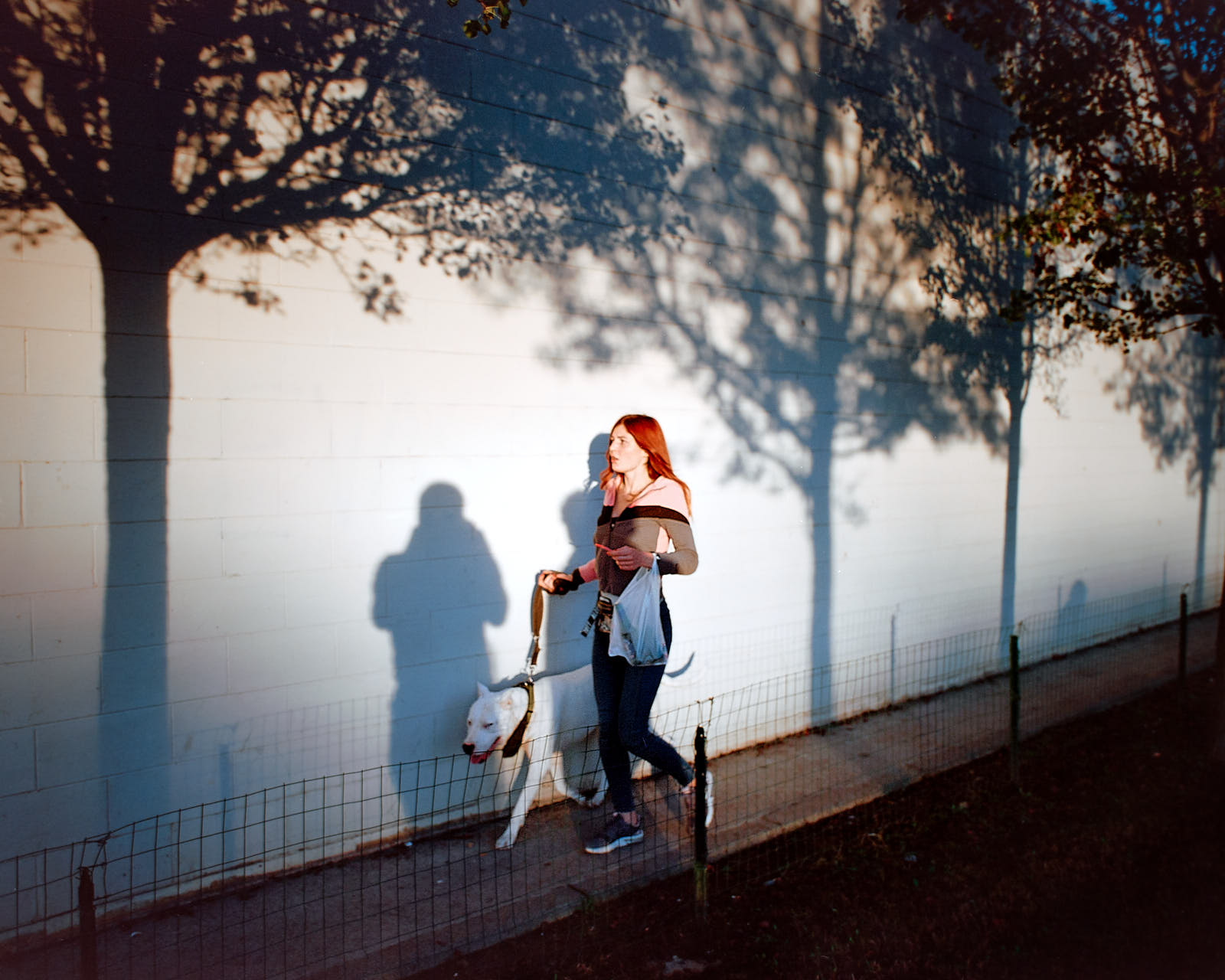 Girl with Dog, Milano, 2020