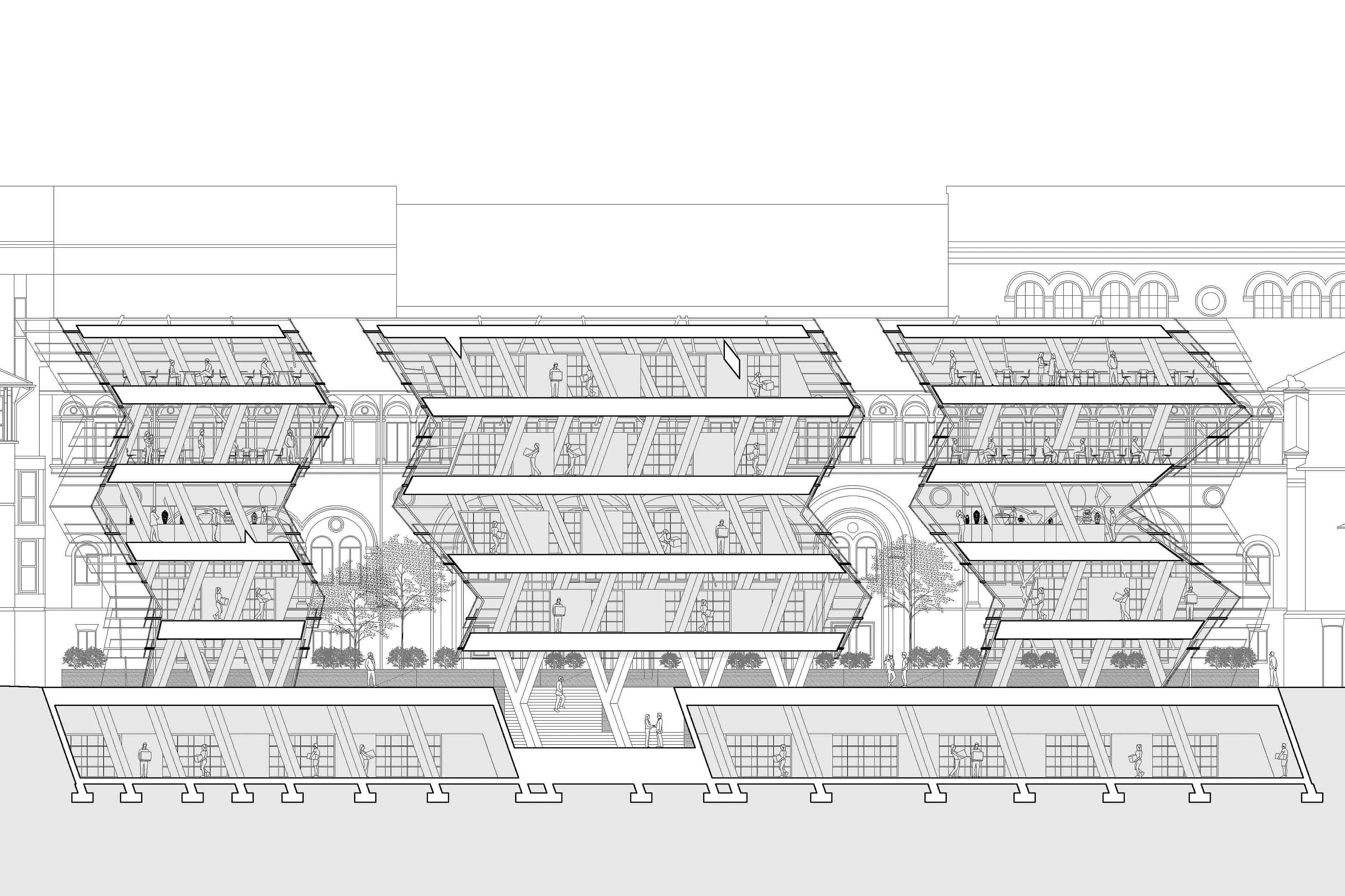 Drawing - Longitudinal Section