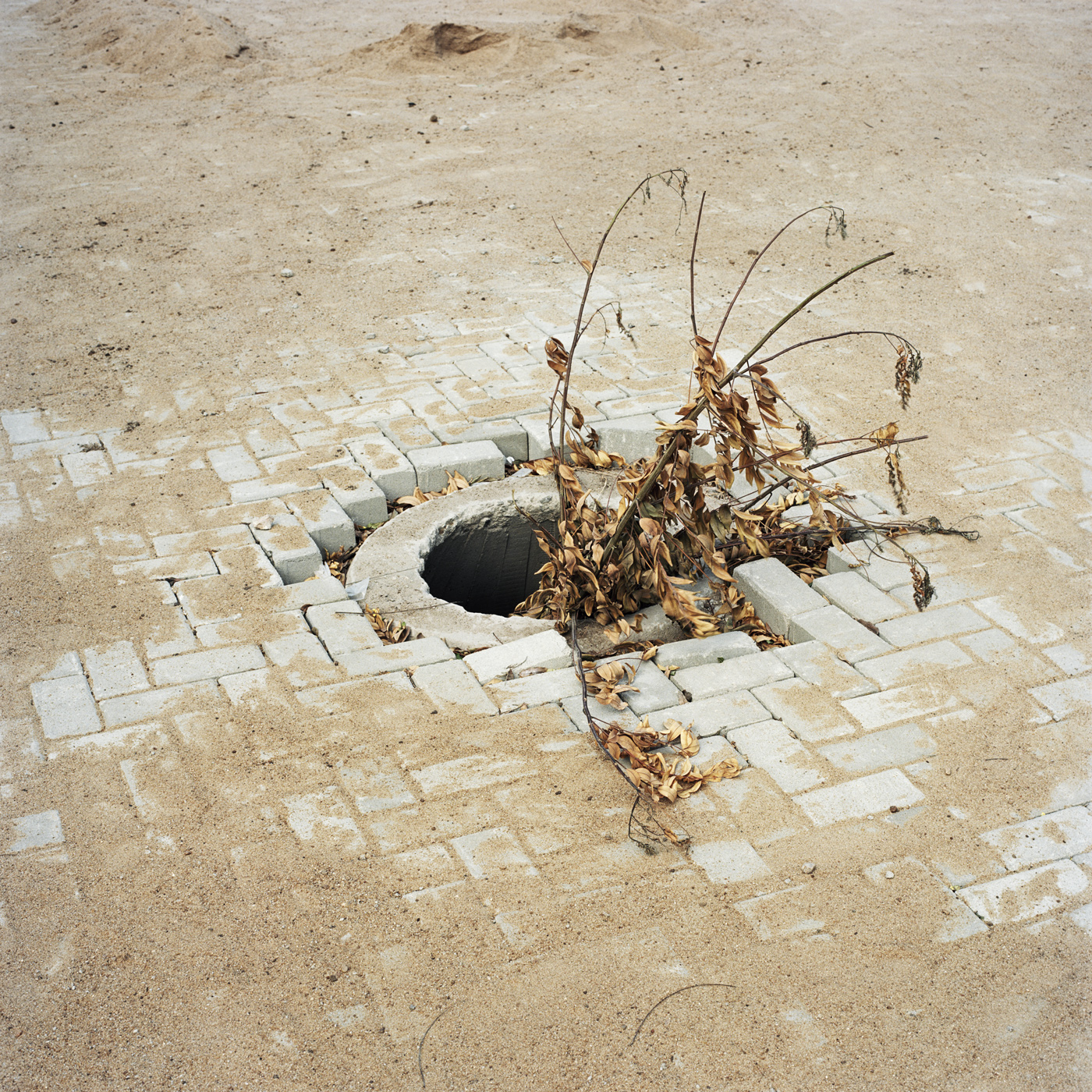 Hazard II, Ilha de Moçambique, 2014