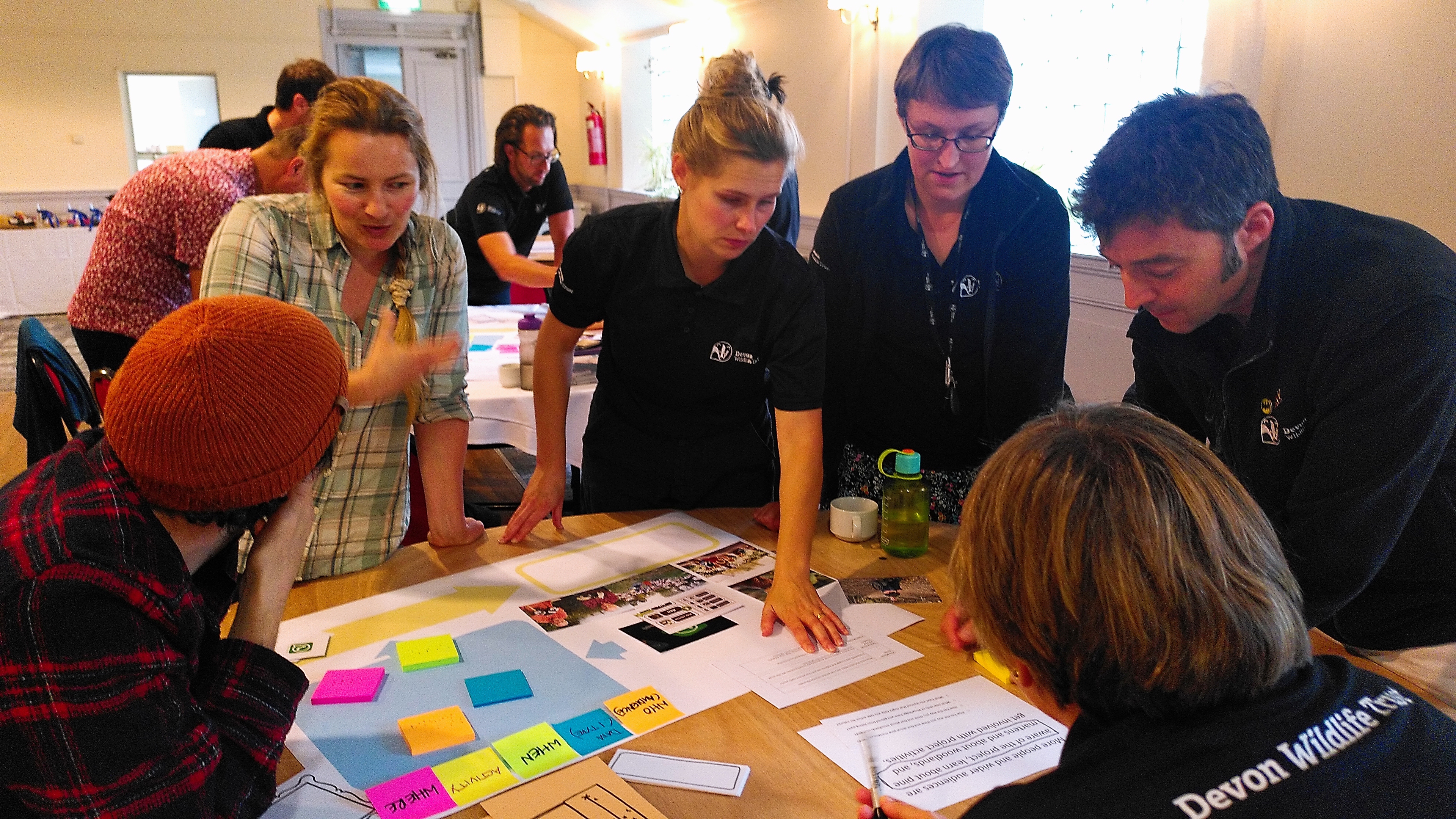 Designing a creative evaluation system with Devon and Somerset Wildlife Trust.