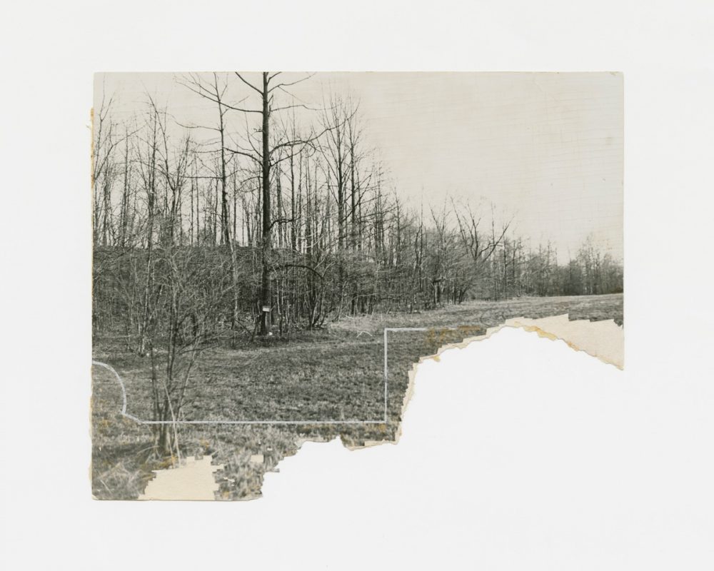 Albumen print from the collection of Edgar Martins by unknown photographer, circa 1915