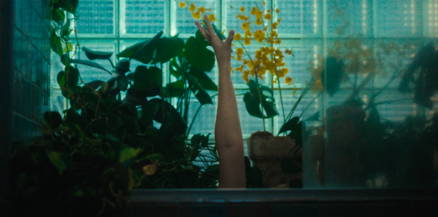 MoNa / Dir. Cyrus Stowe  & Marie Marchant / Music Video