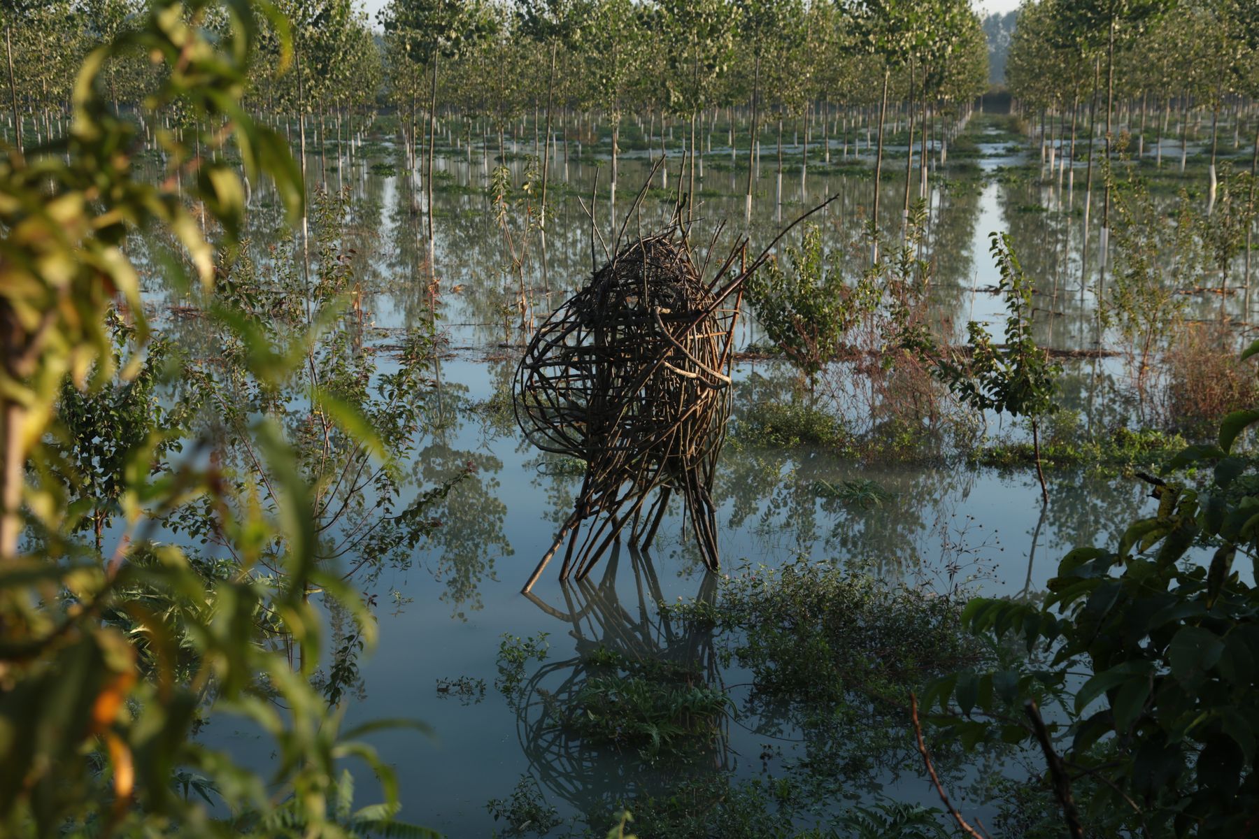 ph: Giovanni Fiamminghi