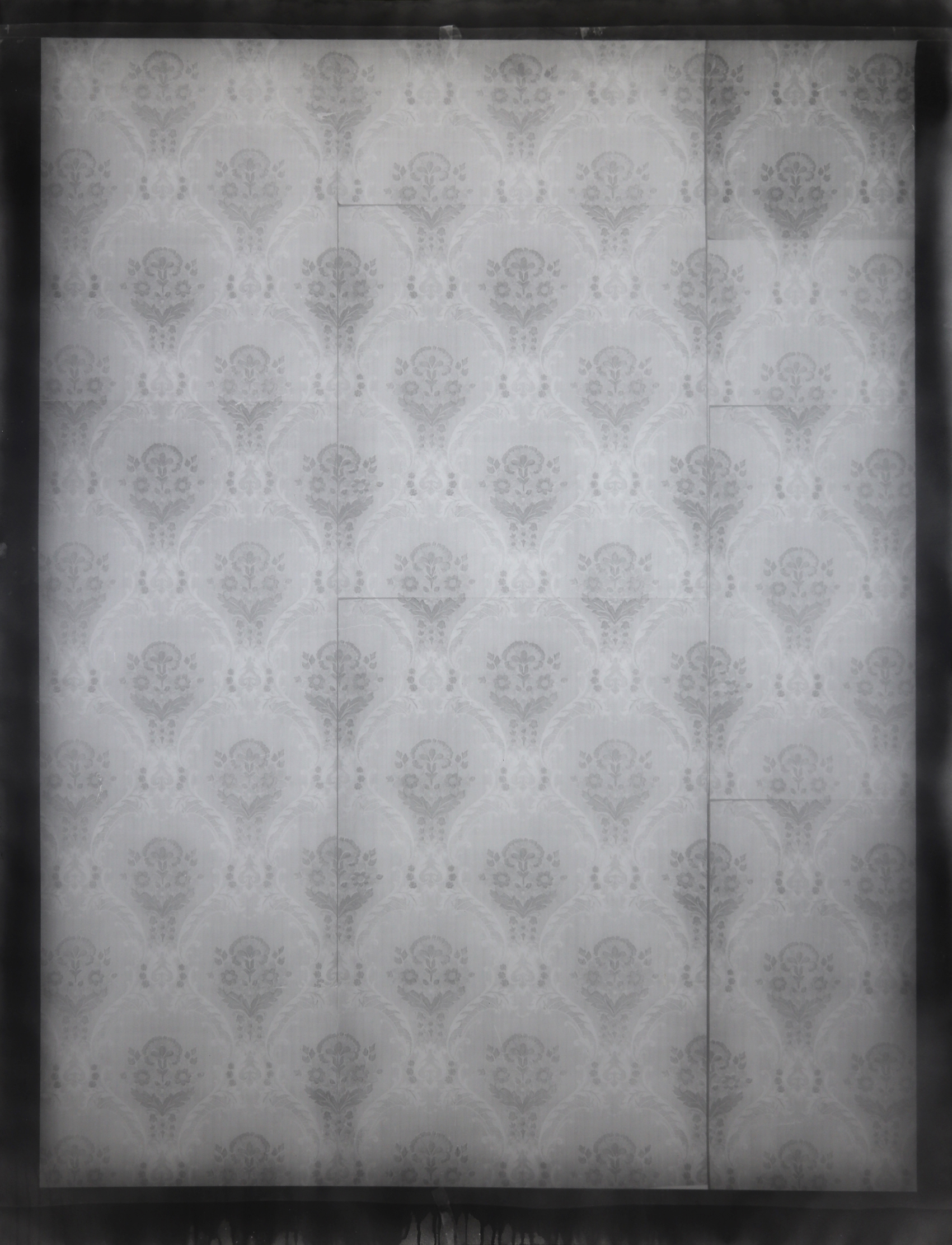 Fleurs Silver Gelatin on 300gsm Paper 200 x 150 cm