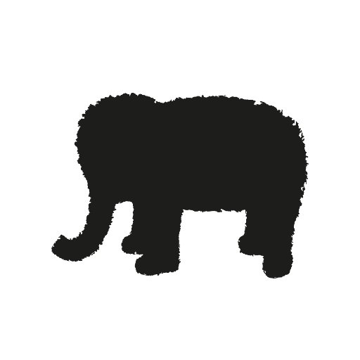 Elephant : December 22, 2017