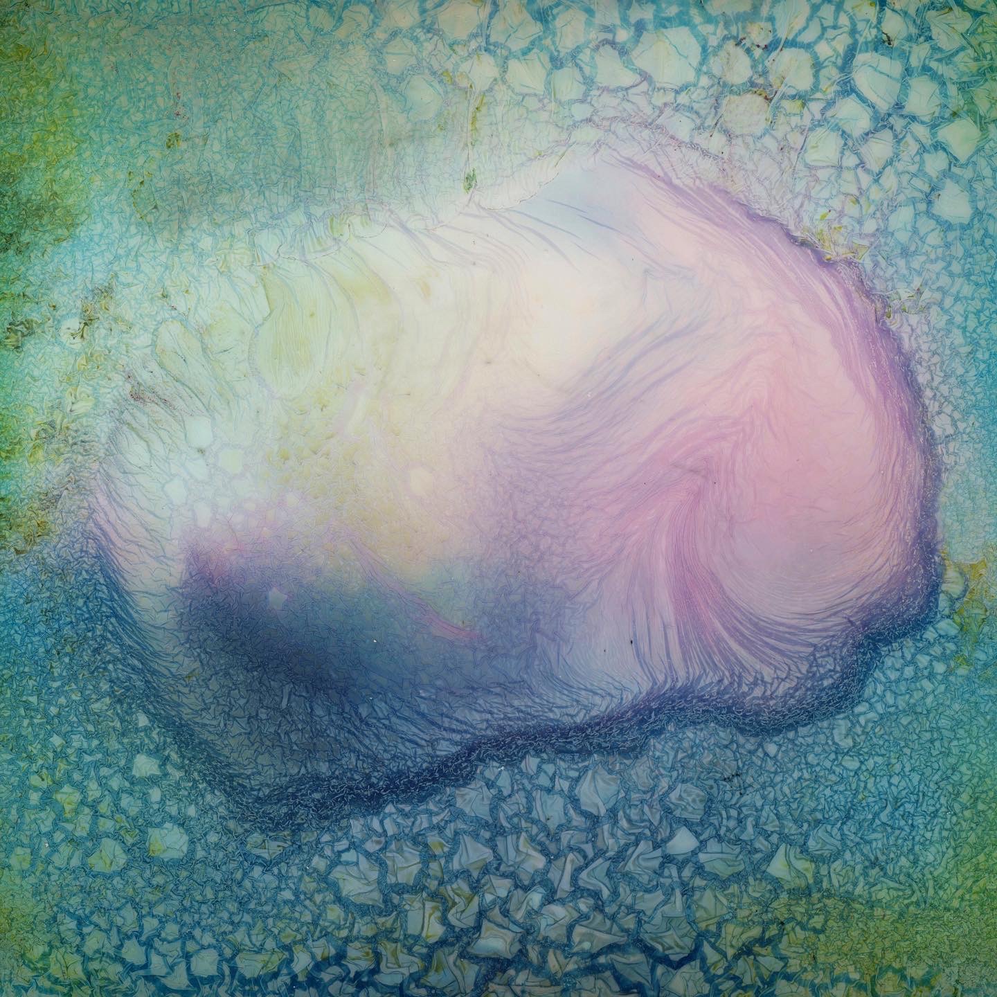 Long term chemical polaroid manipulation, 4 months