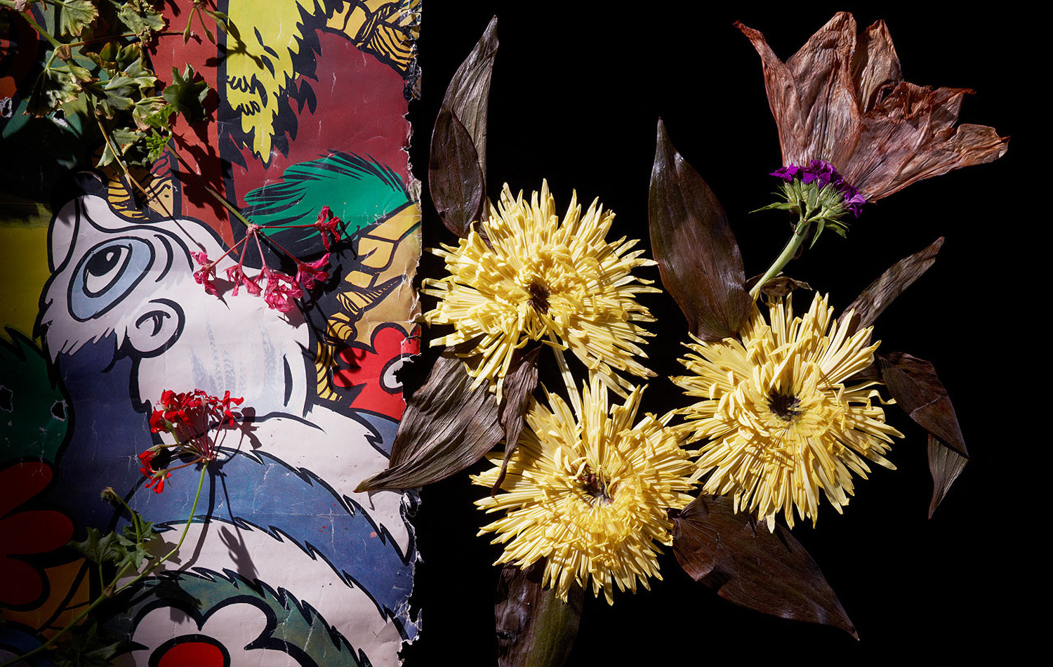 Still Life Photographer Daniel Schweizer shoots a conceptual image using a playful background and assorted florals