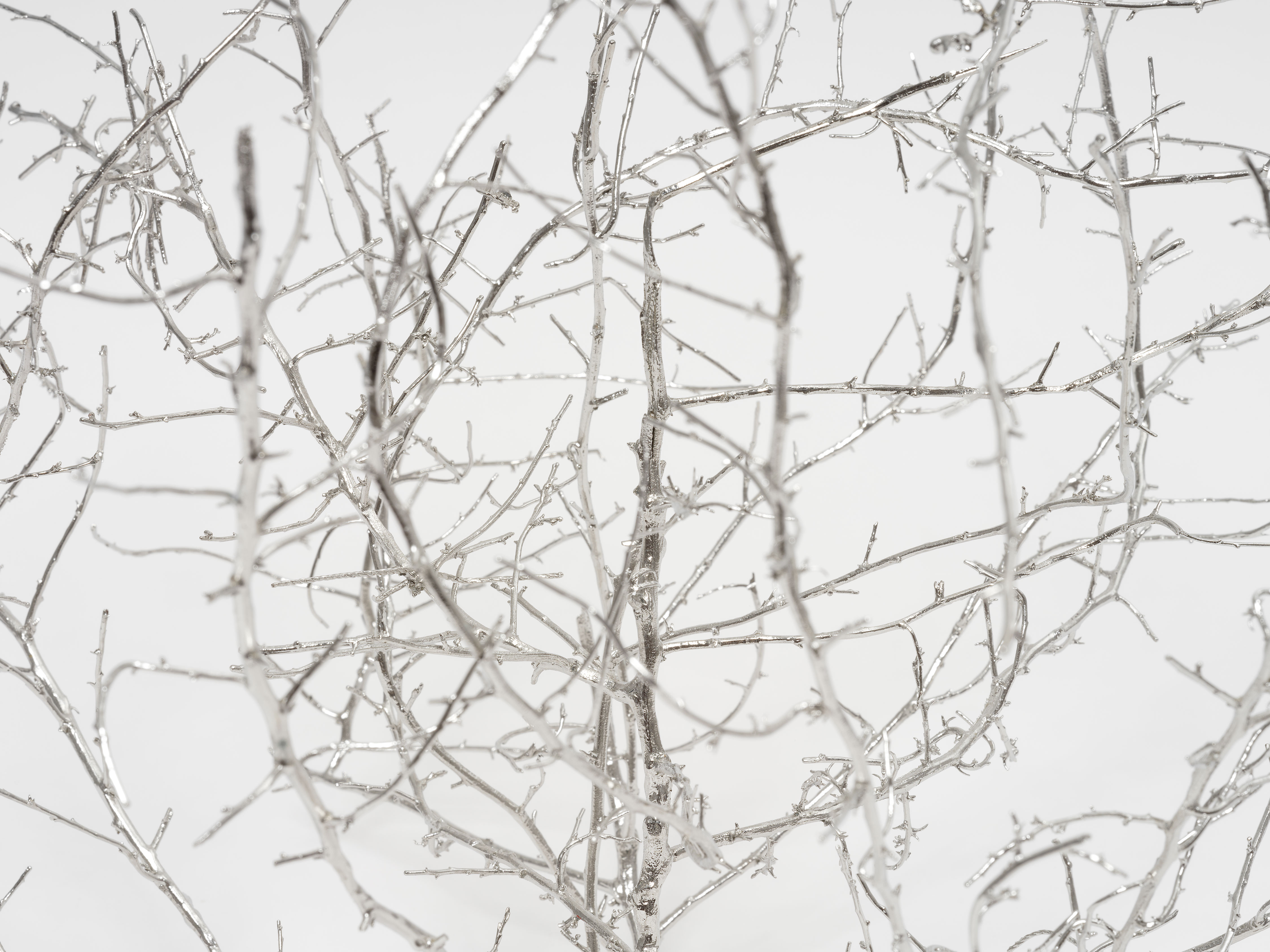 Liz Glynn / Paula Cooper Gallery