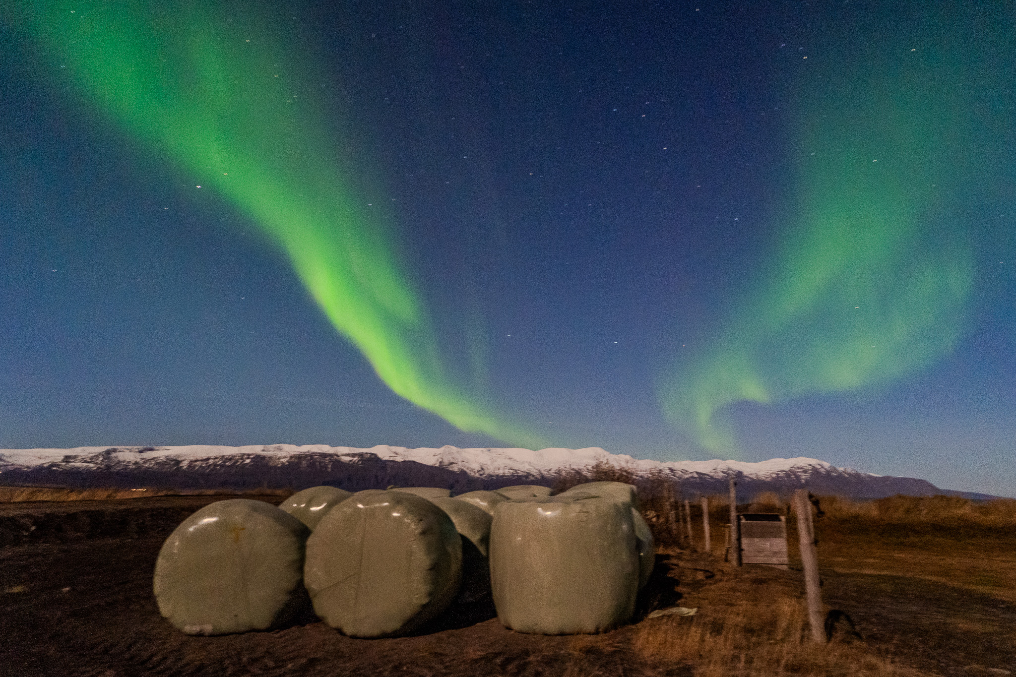 "Aurora and the Fields"