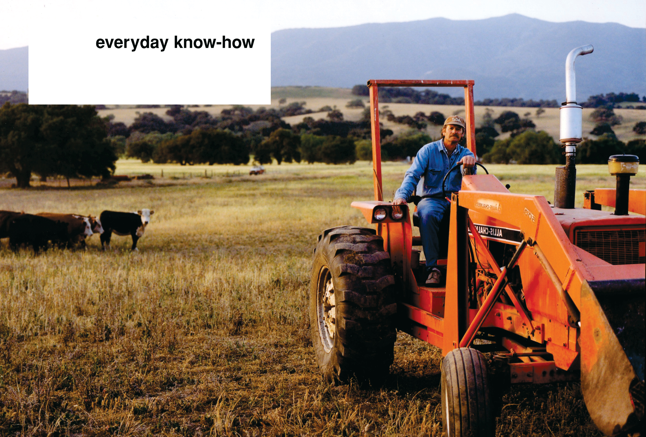 Everyday IBM: Global Brand Book, inside spread.