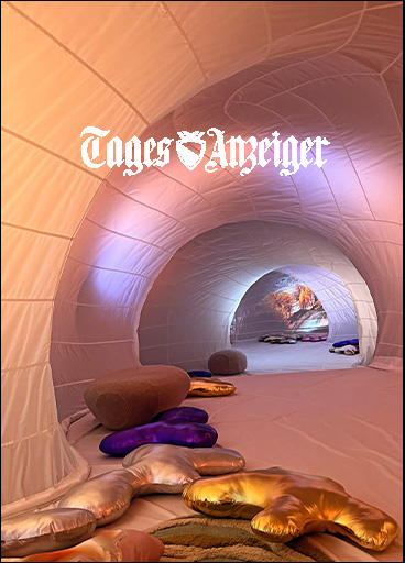 Tagesanzeiger (2026) online