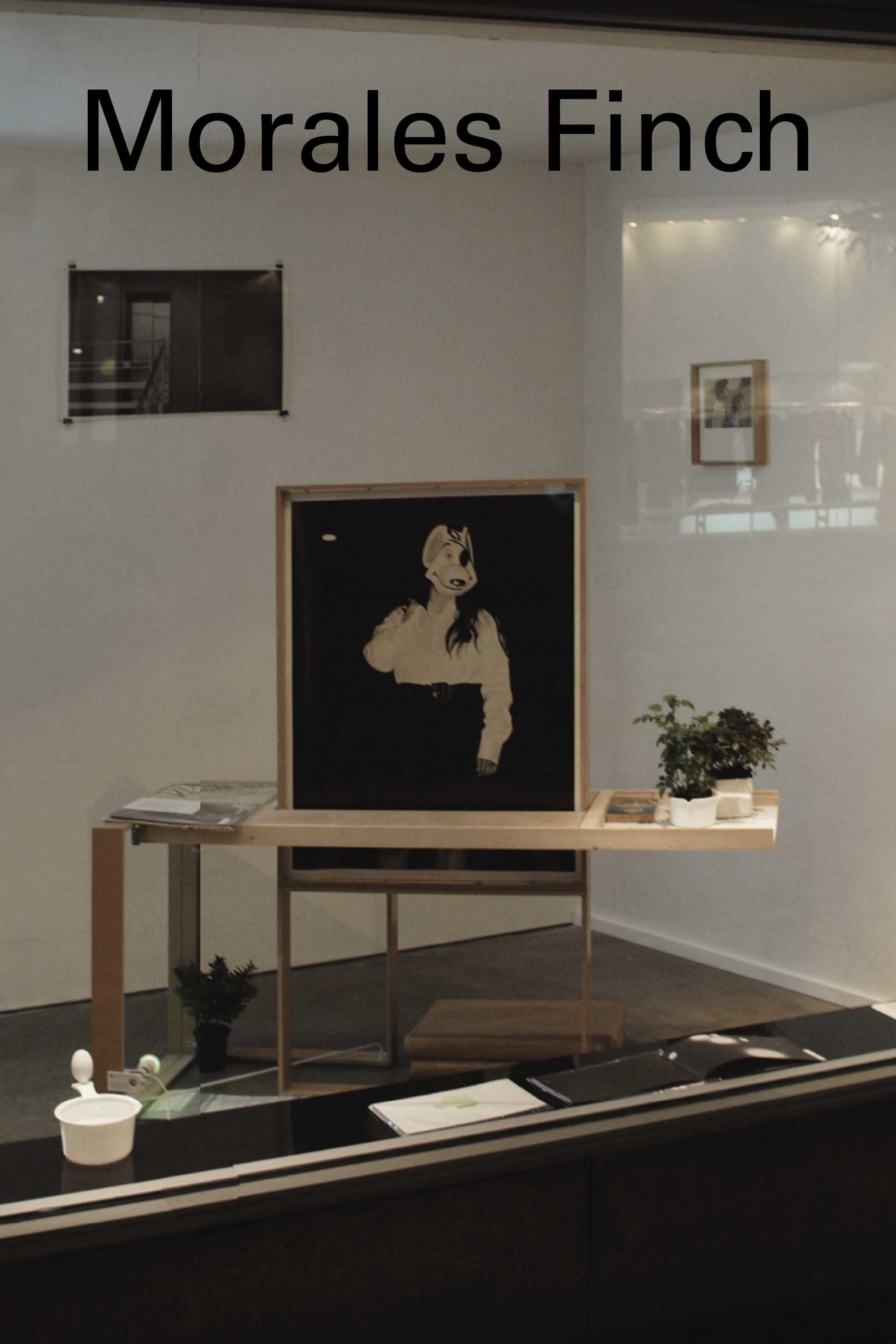 Kilimanjaro magazine scenography. 2008-2013