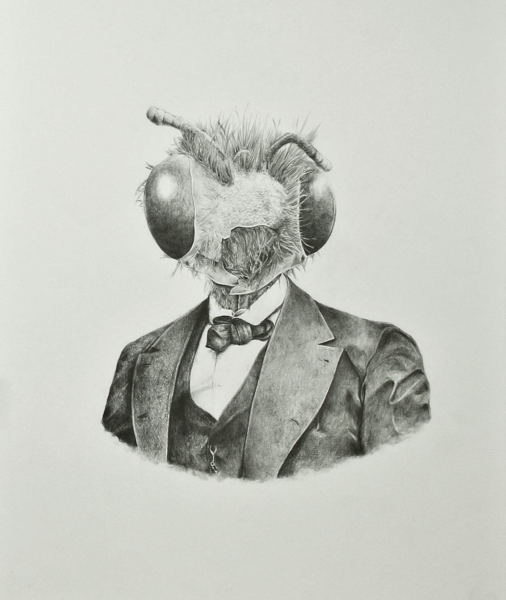 Specimen II. Graphite on paper, 64cm x 48cm, 2011