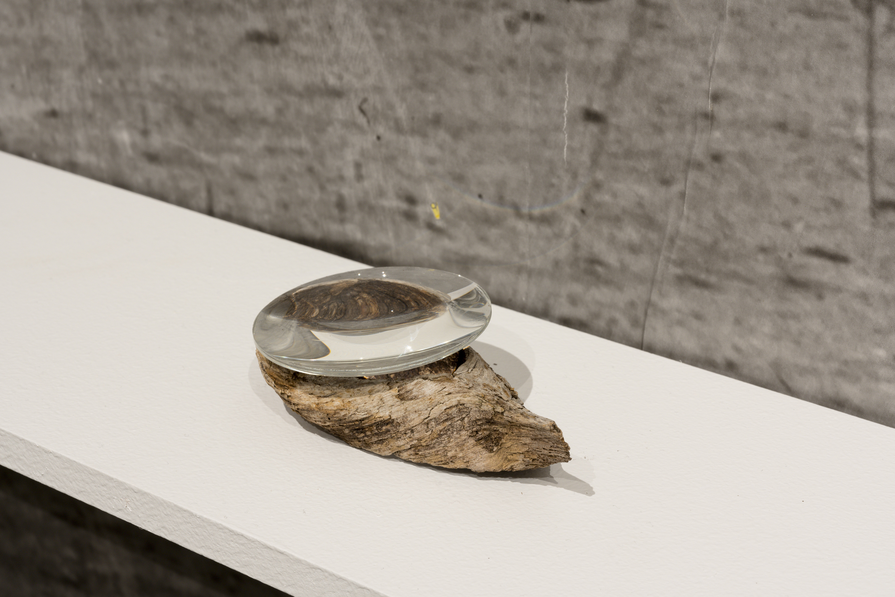 "Faye's Shelf", [detail].