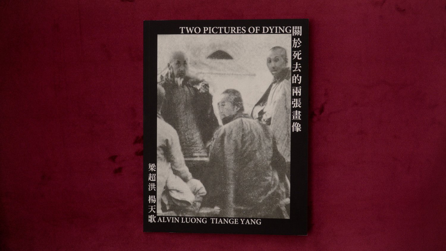Alvin Luong and Tiange Yang, "Two Pictures of Dying" 2021