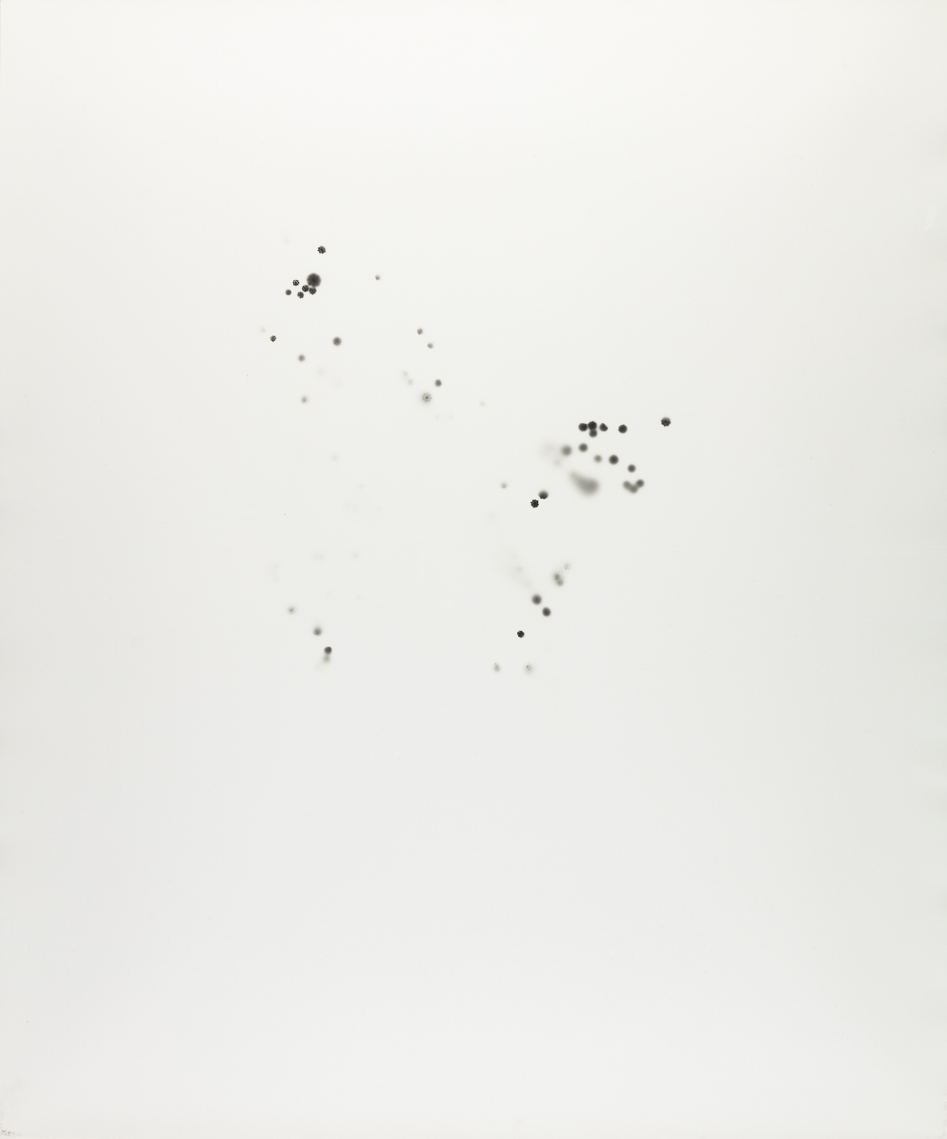 Invented Constellations I, 2017