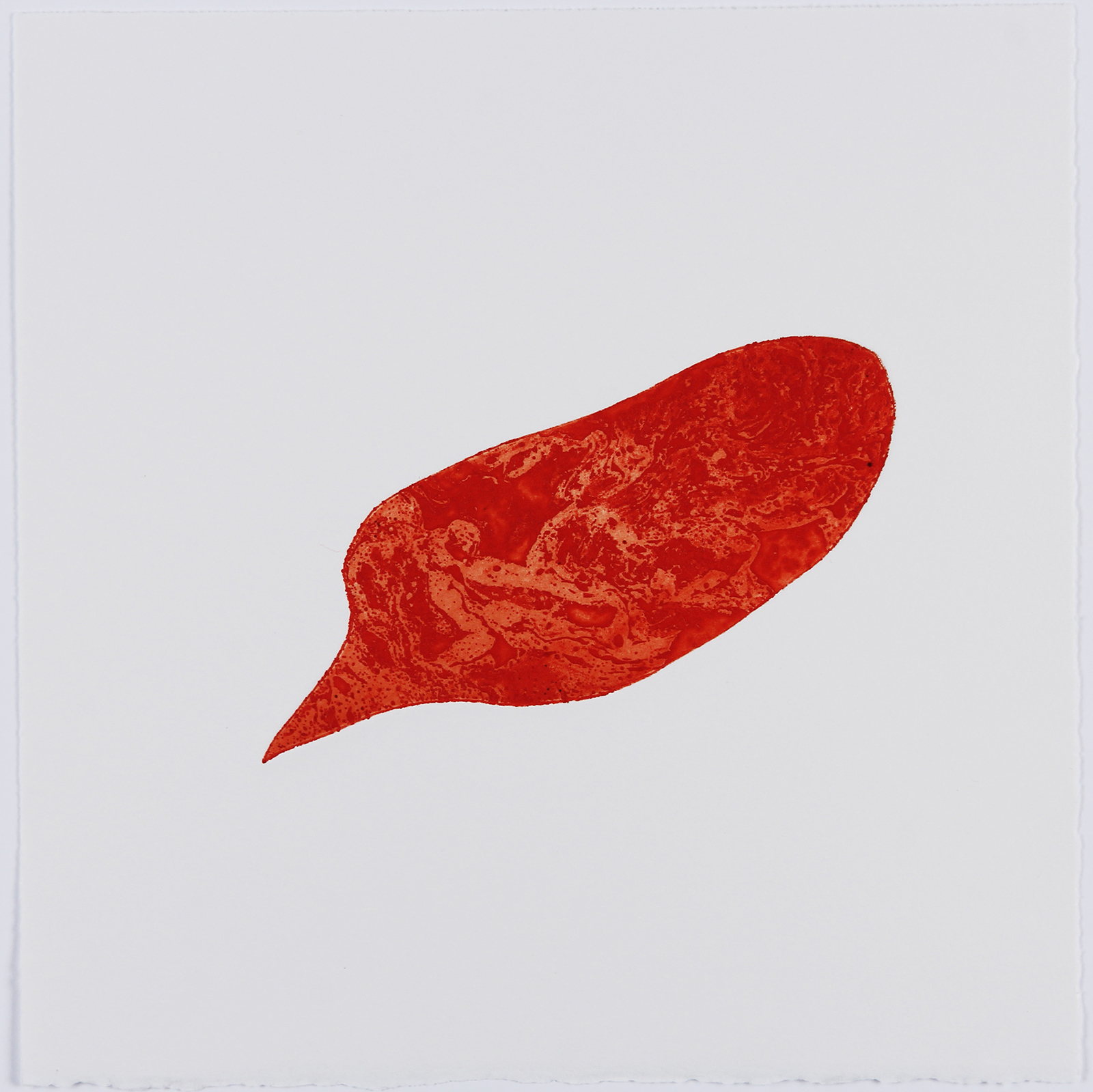 Xenophora V, 2021. Etching on Somerset Satin. 25 x 25cm. 1/2 Varied edition.
