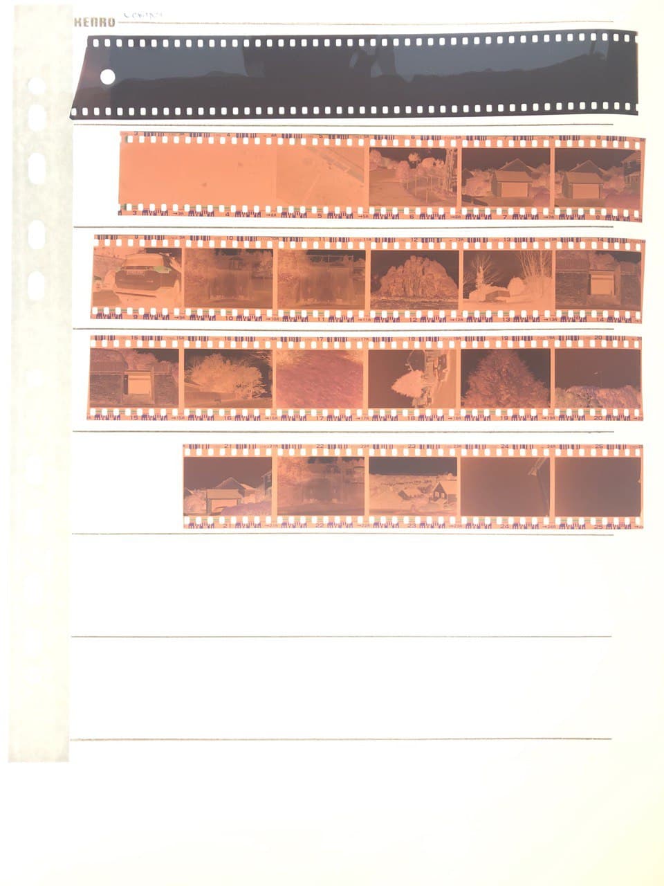 Visual Perception Test: Control Contact Sheet