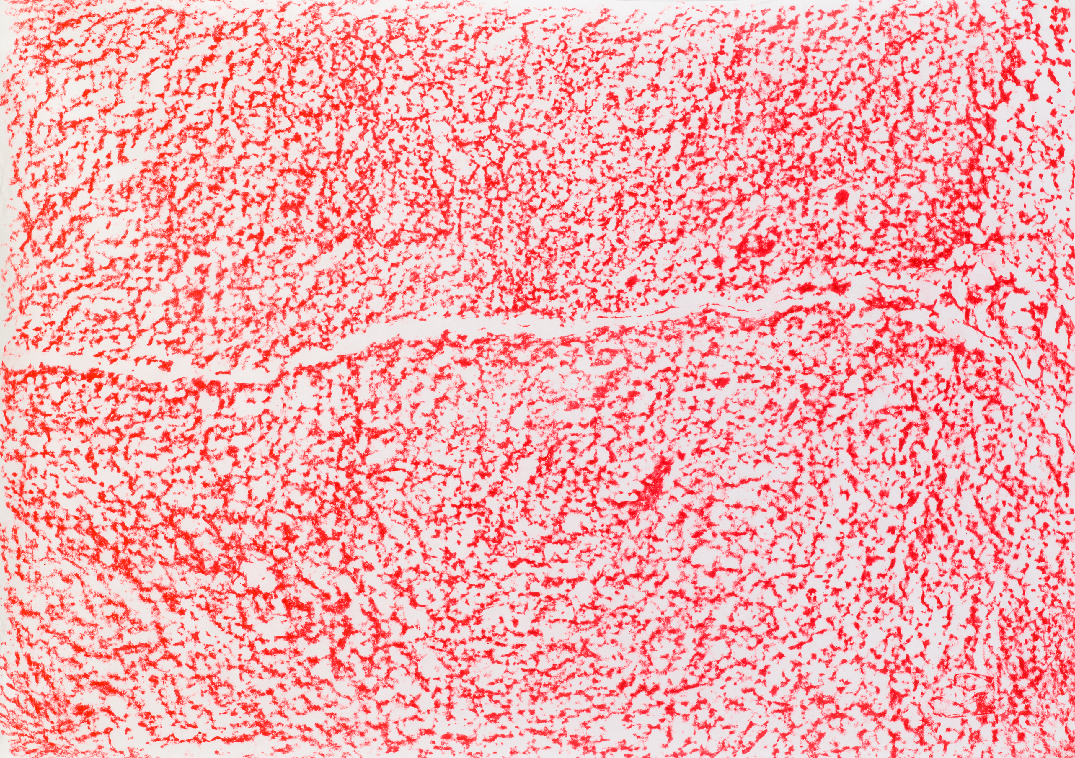 Floor Crack, 2014. Frottage, 37 &frac14; &times; 26 inches