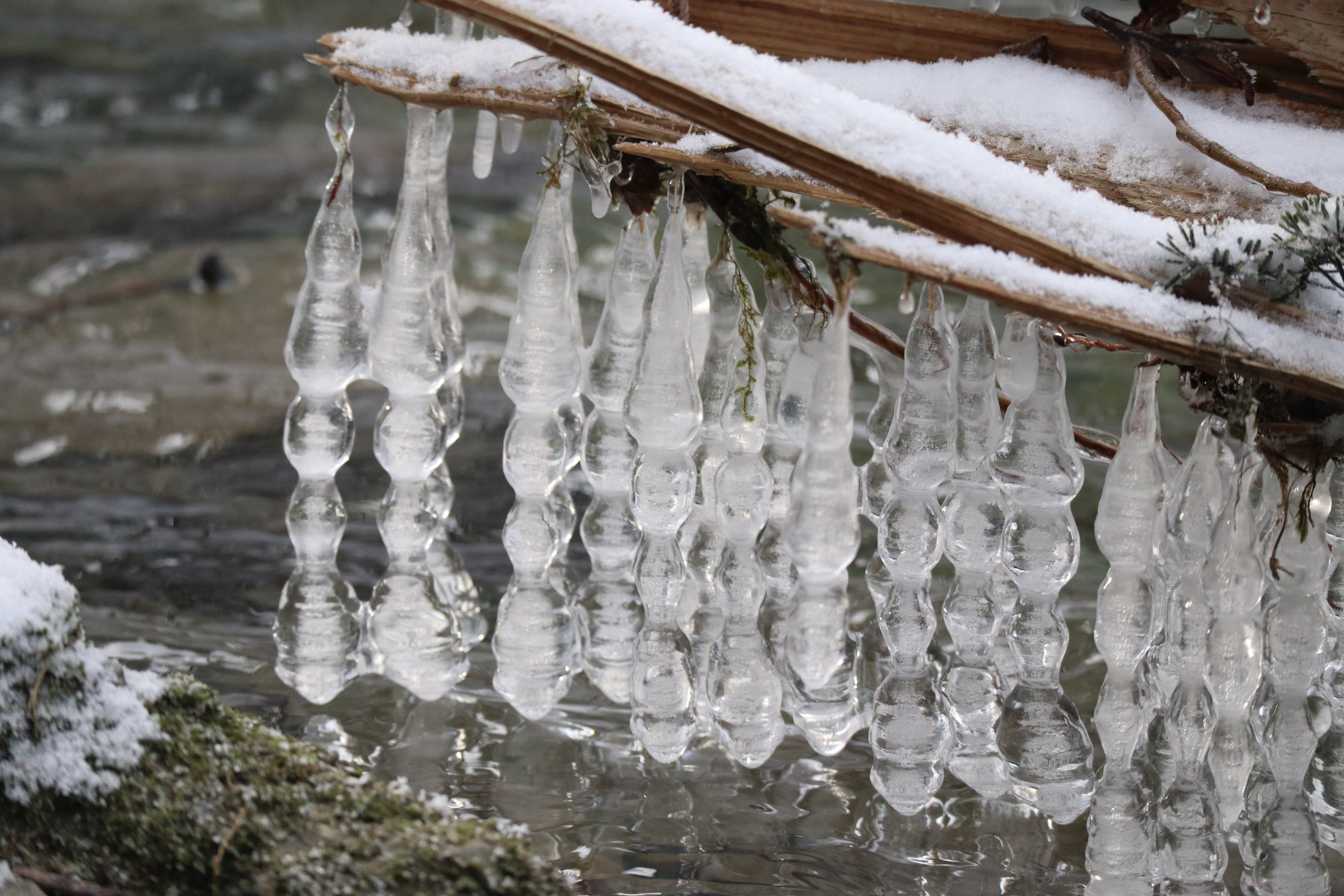 Wunder gibt es immer wieder