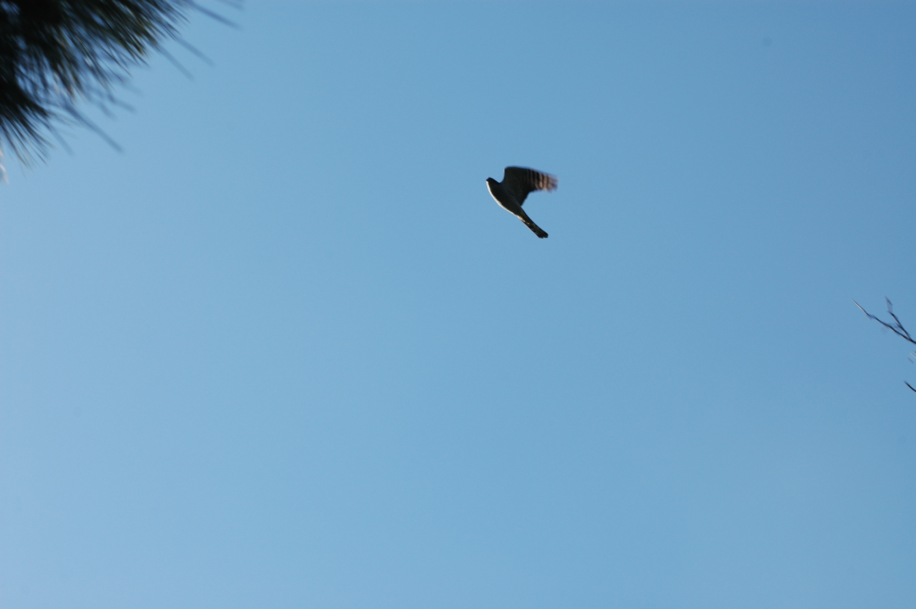 14.12.2024, A Kapısı