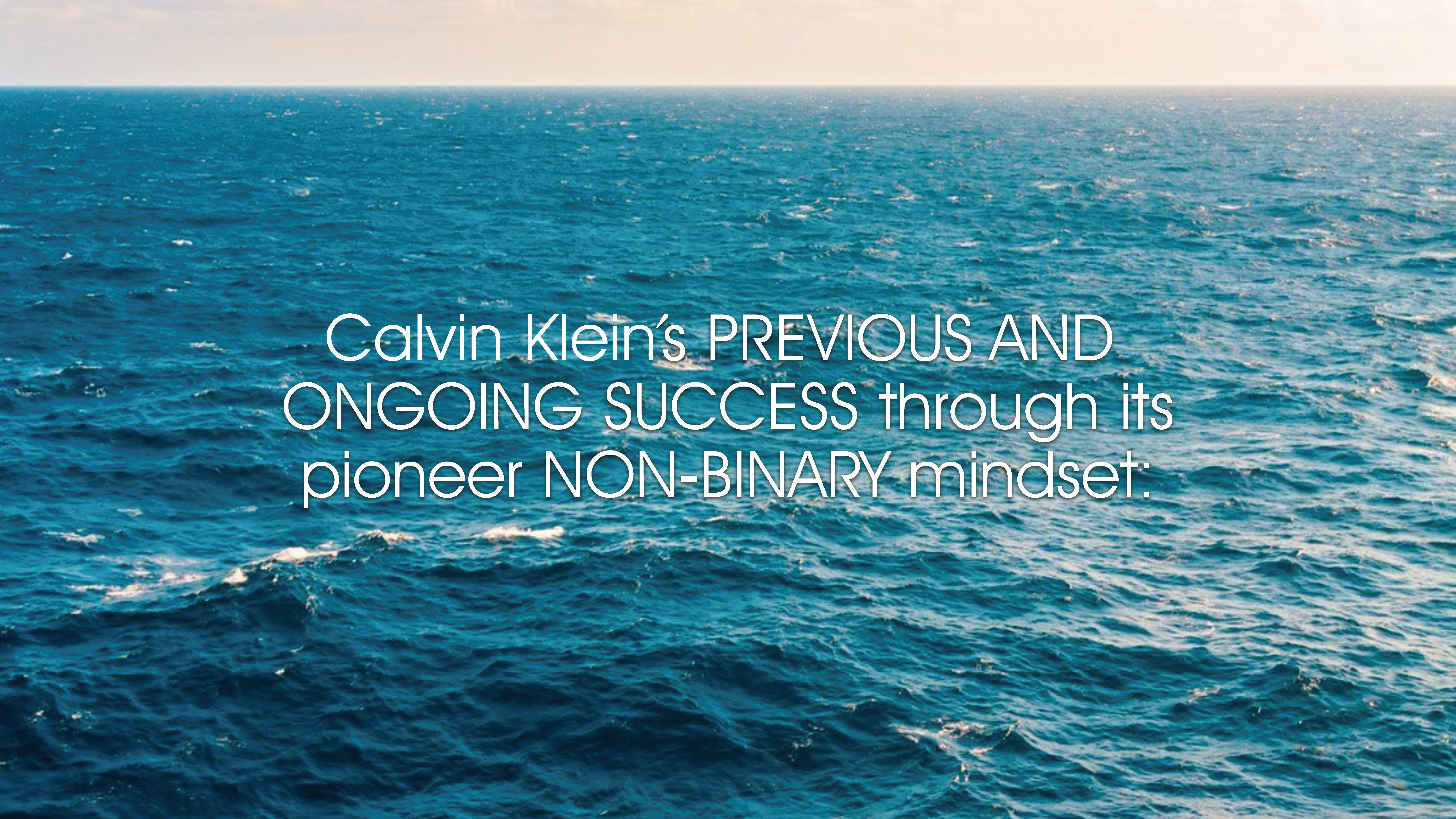 Calvin_Klein_Modeling_Campaign.pdf 