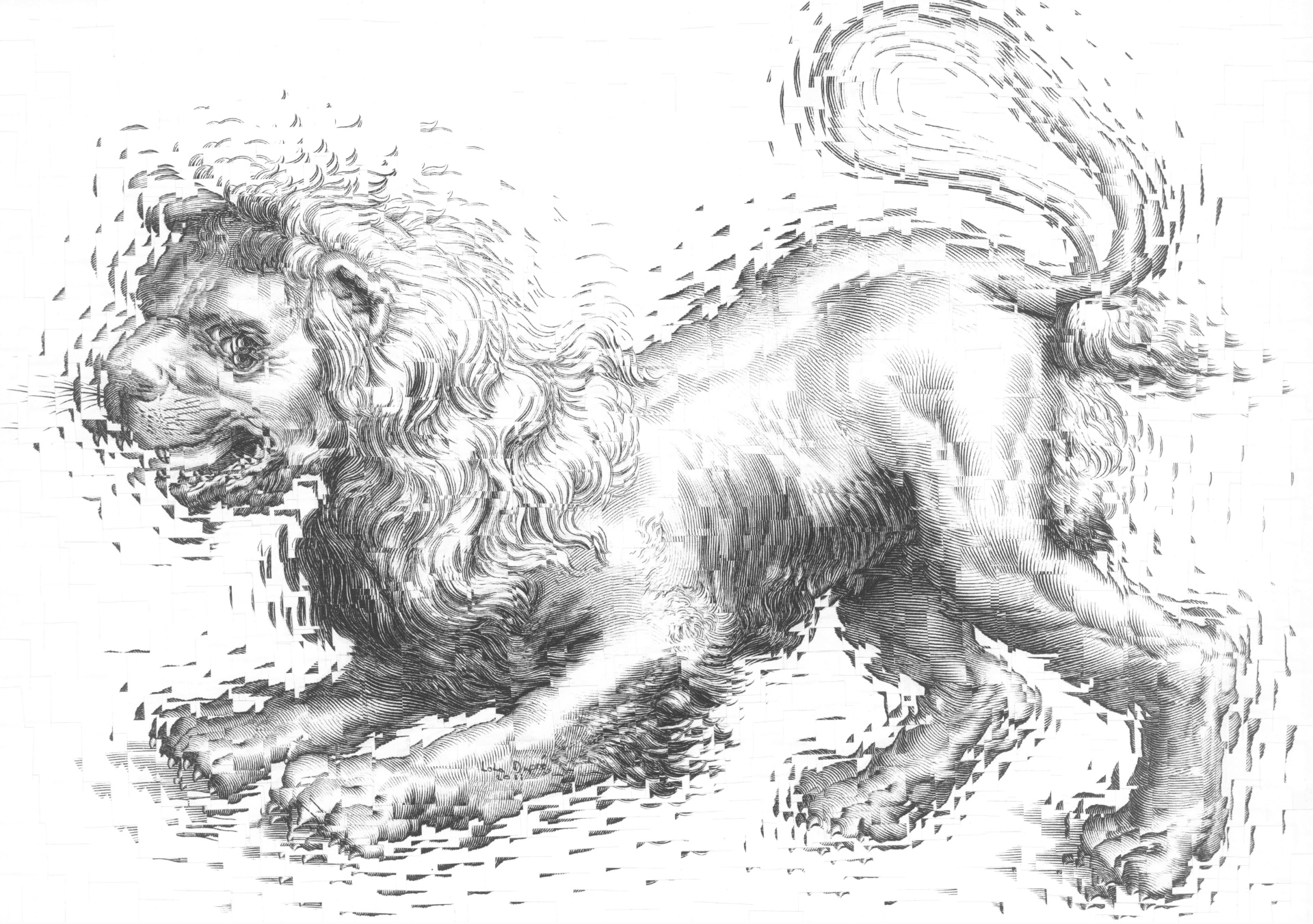 Exploding Lion, 2011, 11.6 x 8.2 inches