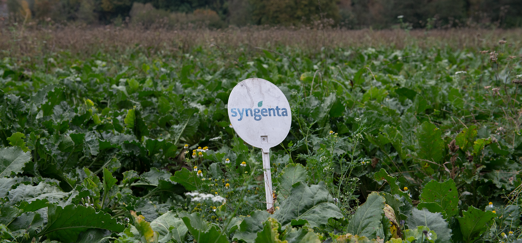 Political topicality of Pesticides, Fisibach, 2020.