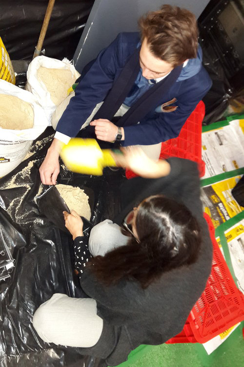 Filling sandbags to interact with alternative building materials