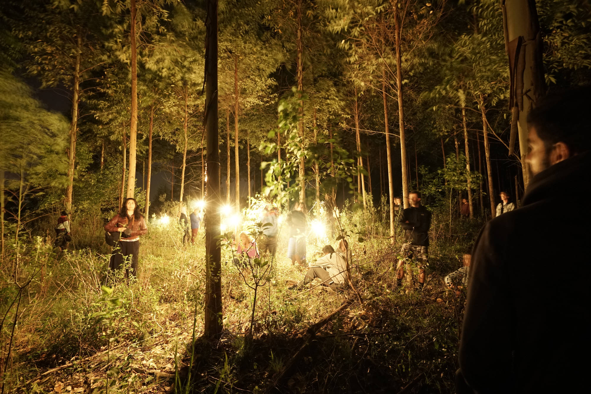 Natura Instable Desirable Obscura, 2018, Site-specific. Nido- Festival de Artes Vivas, Uruguai